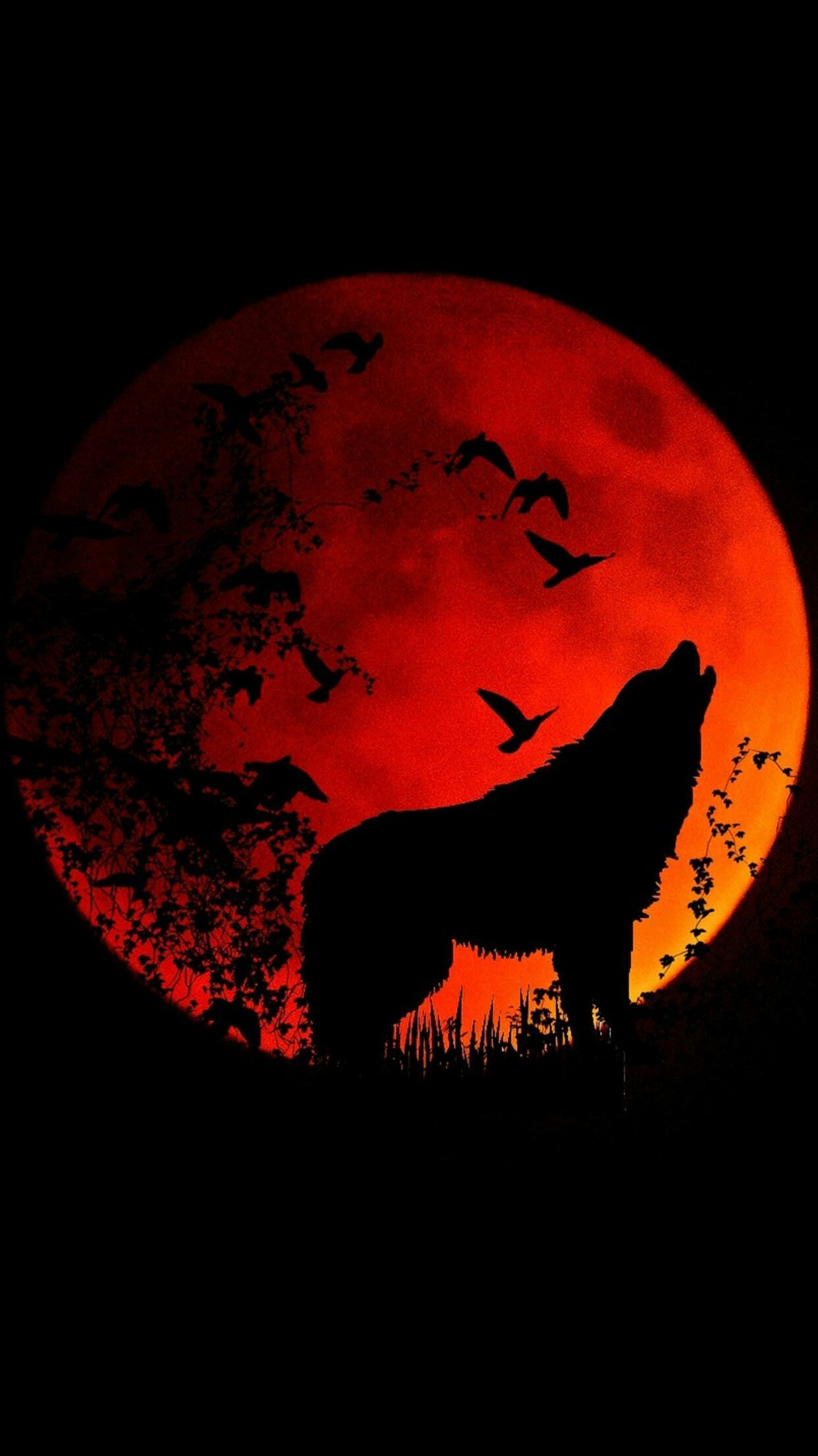 Anime Black And Red Wolf Wallpapers