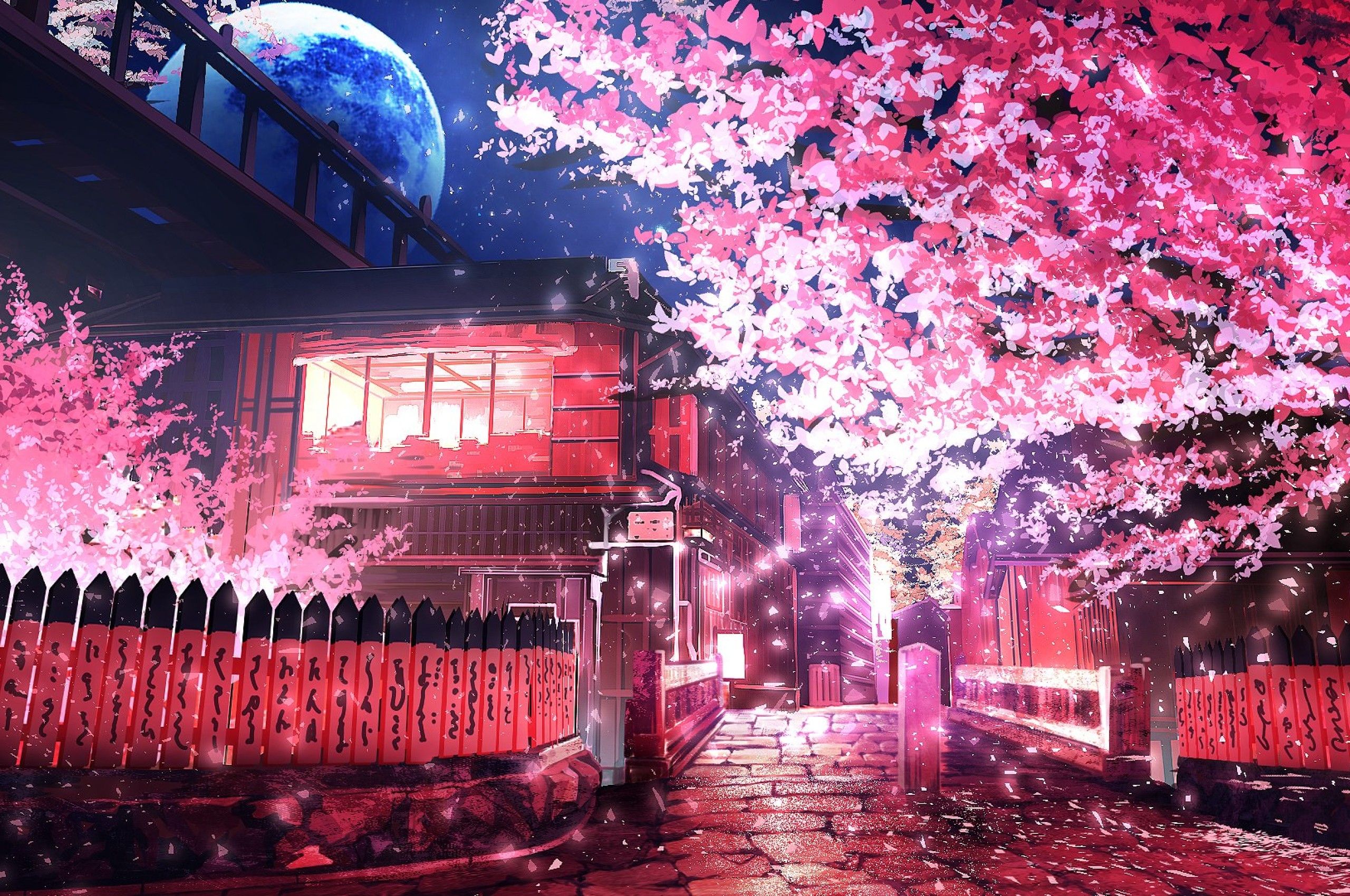 Anime Blossom Wallpapers
