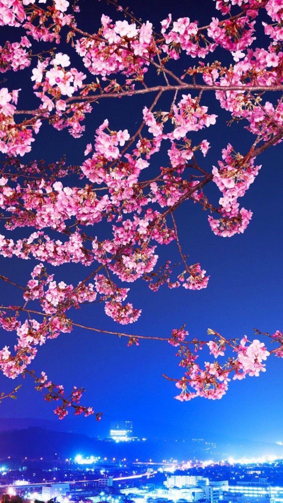 Anime Blossom Wallpapers