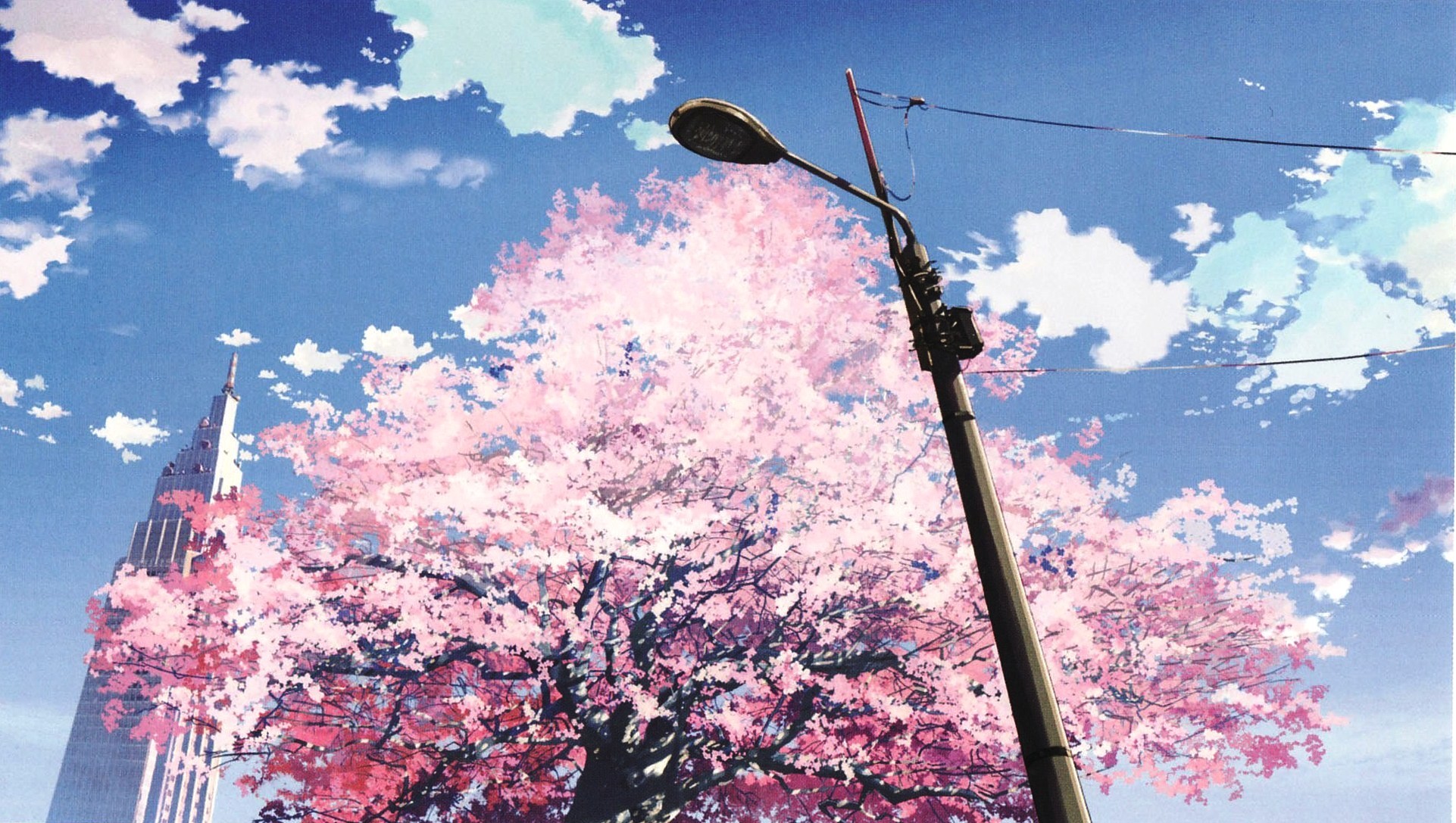 Anime Cherry Blossom Wallpapers