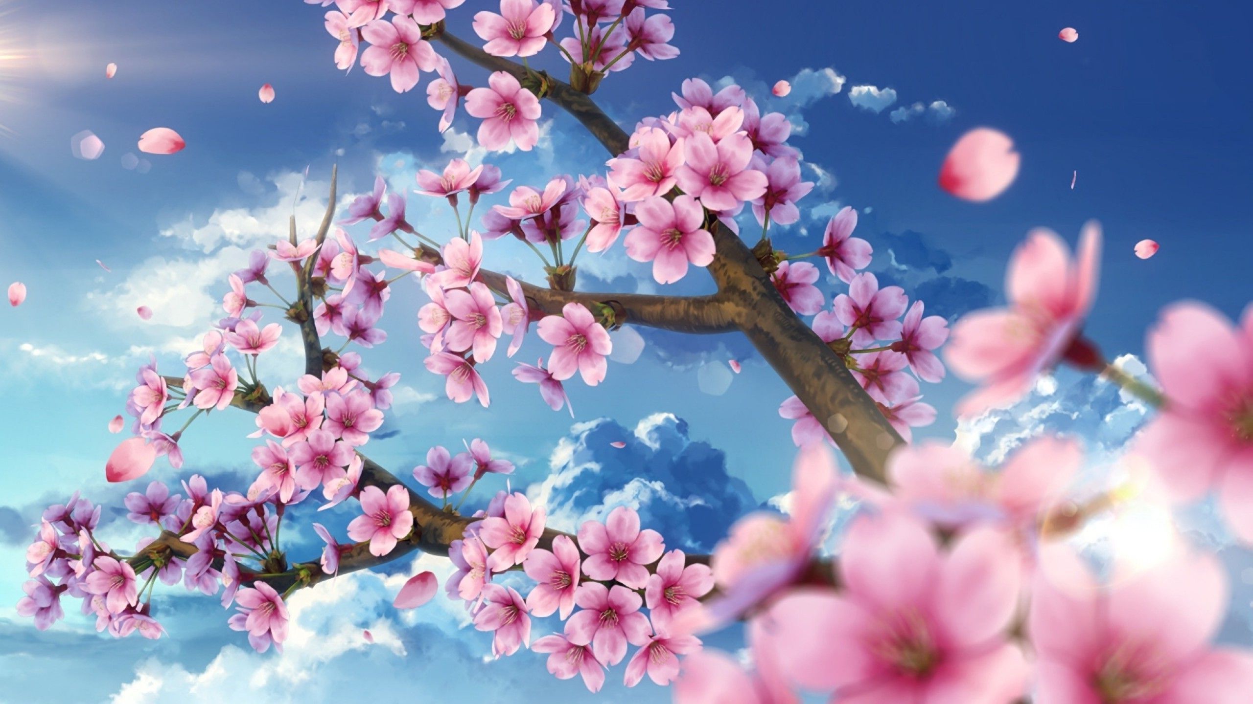 Anime Cherry Blossom 4K Wallpapers