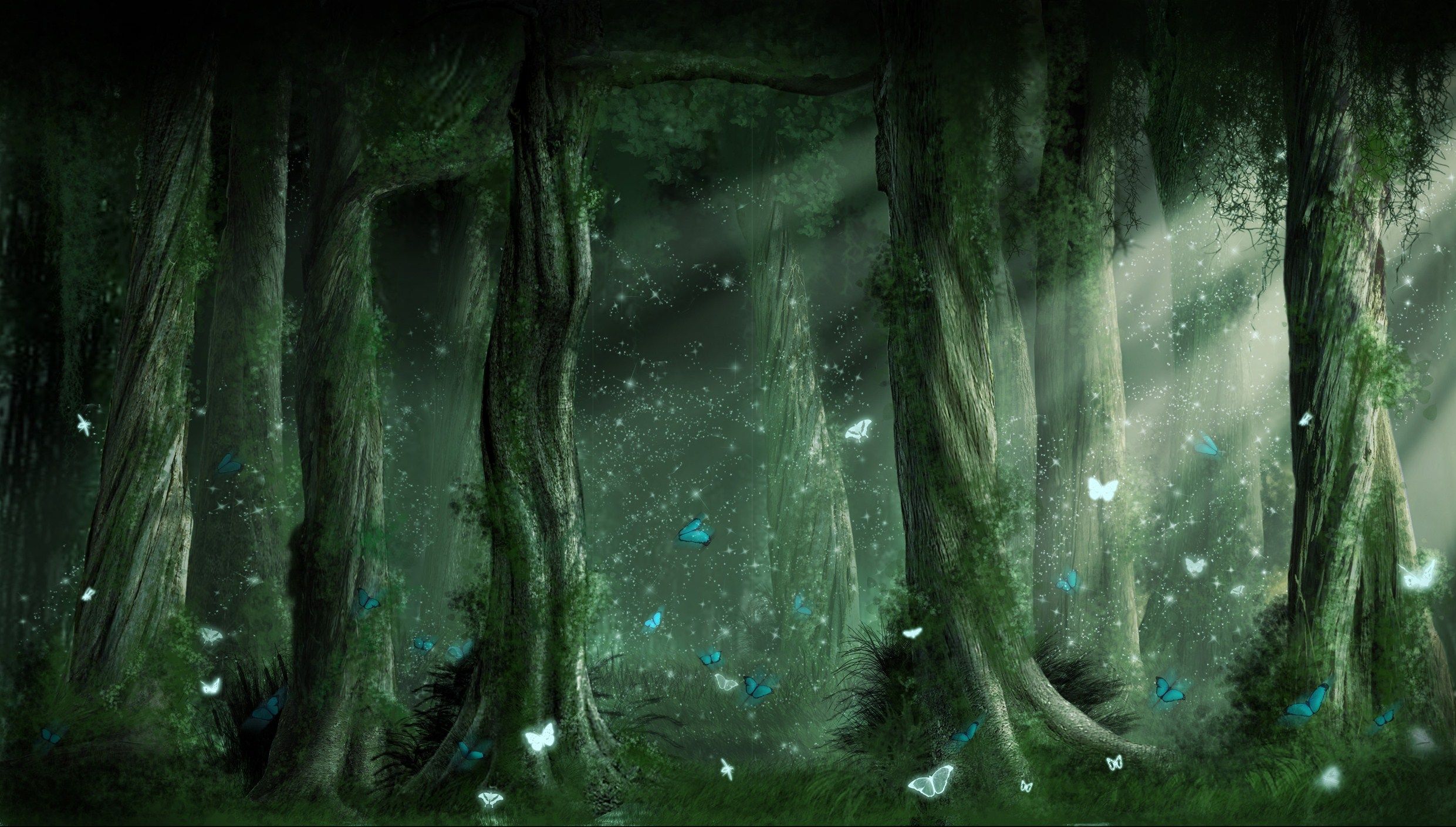 Anime Dark Forest Wallpapers