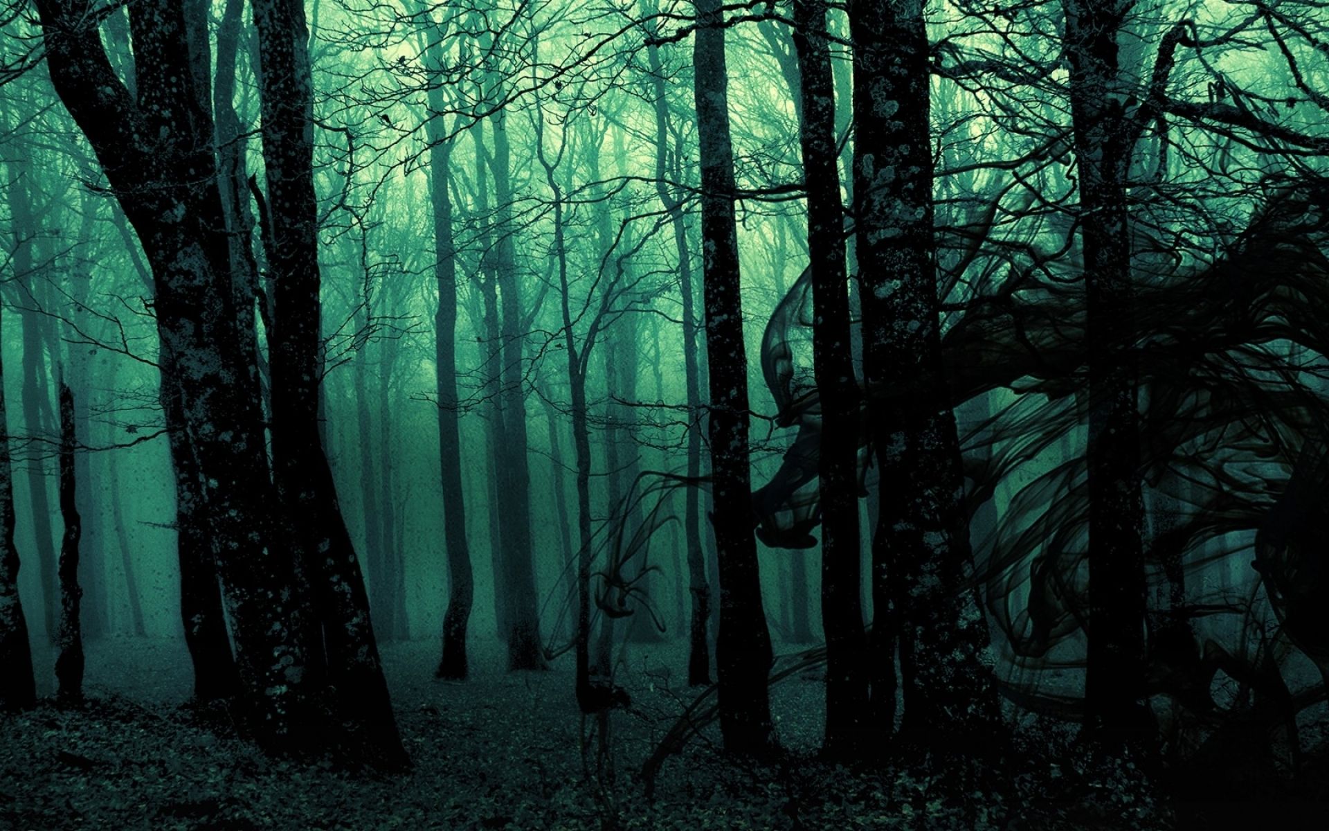 Anime Dark Forest Wallpapers