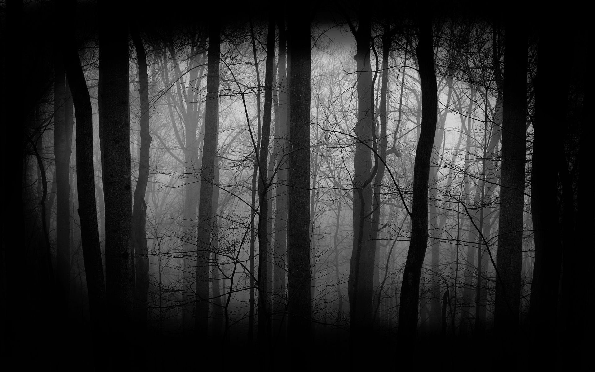 Anime Dark Forest Wallpapers