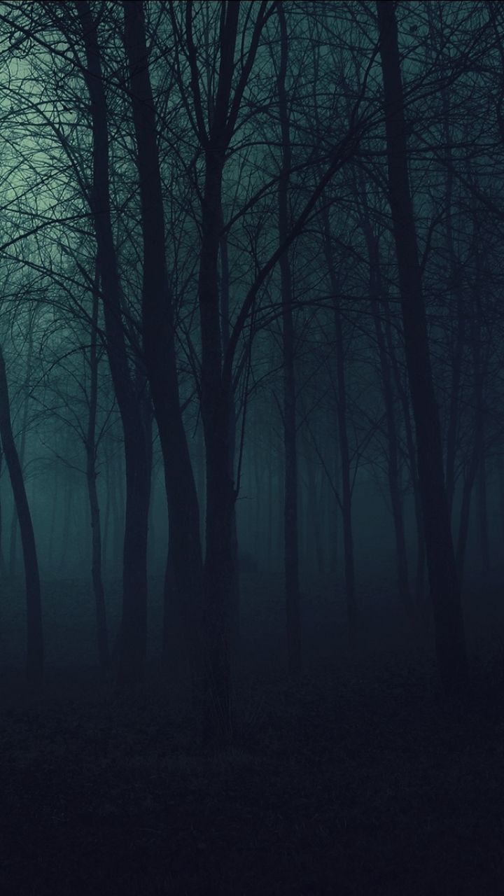 Anime Dark Forest Wallpapers