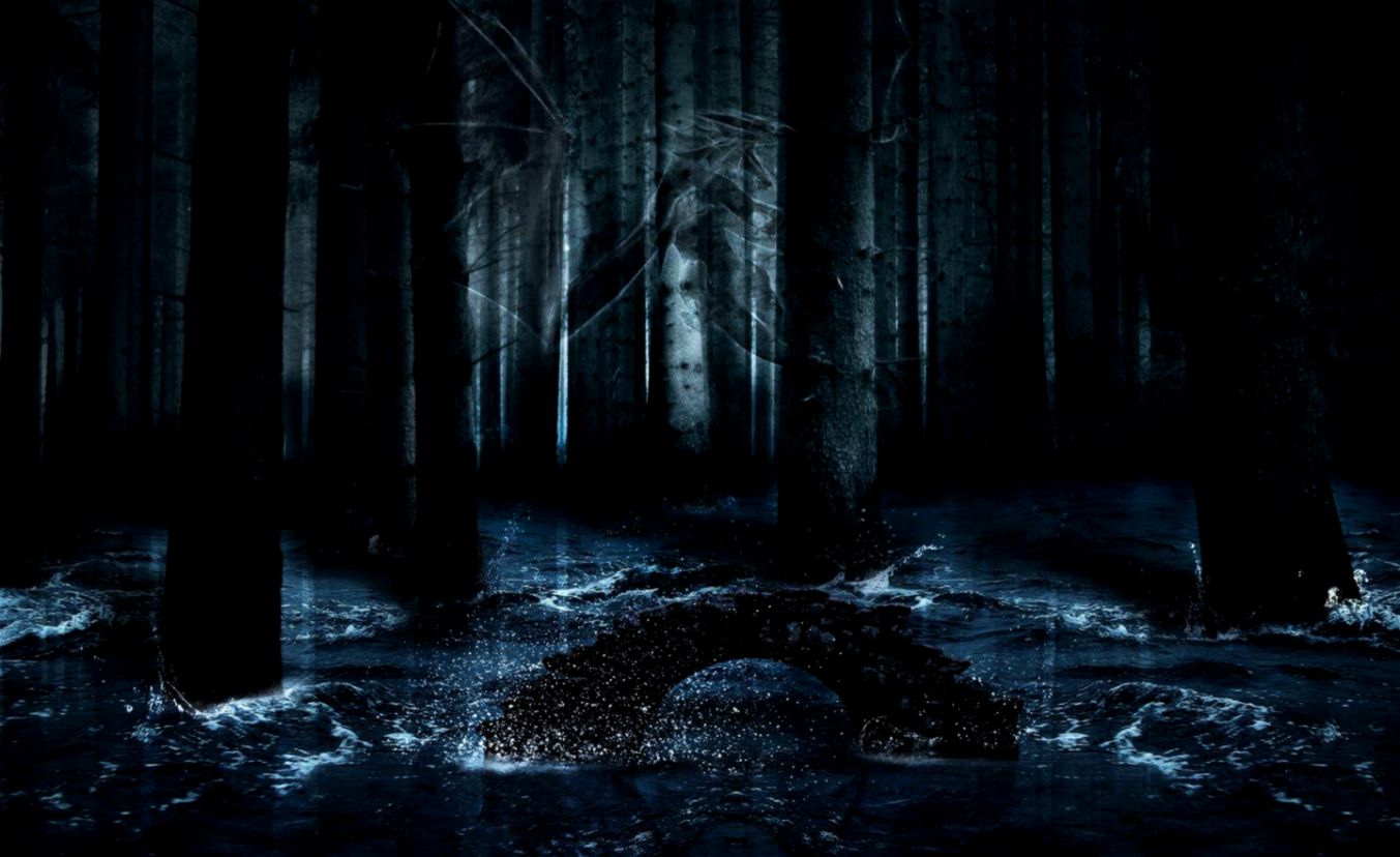 Anime Dark Forest Wallpapers