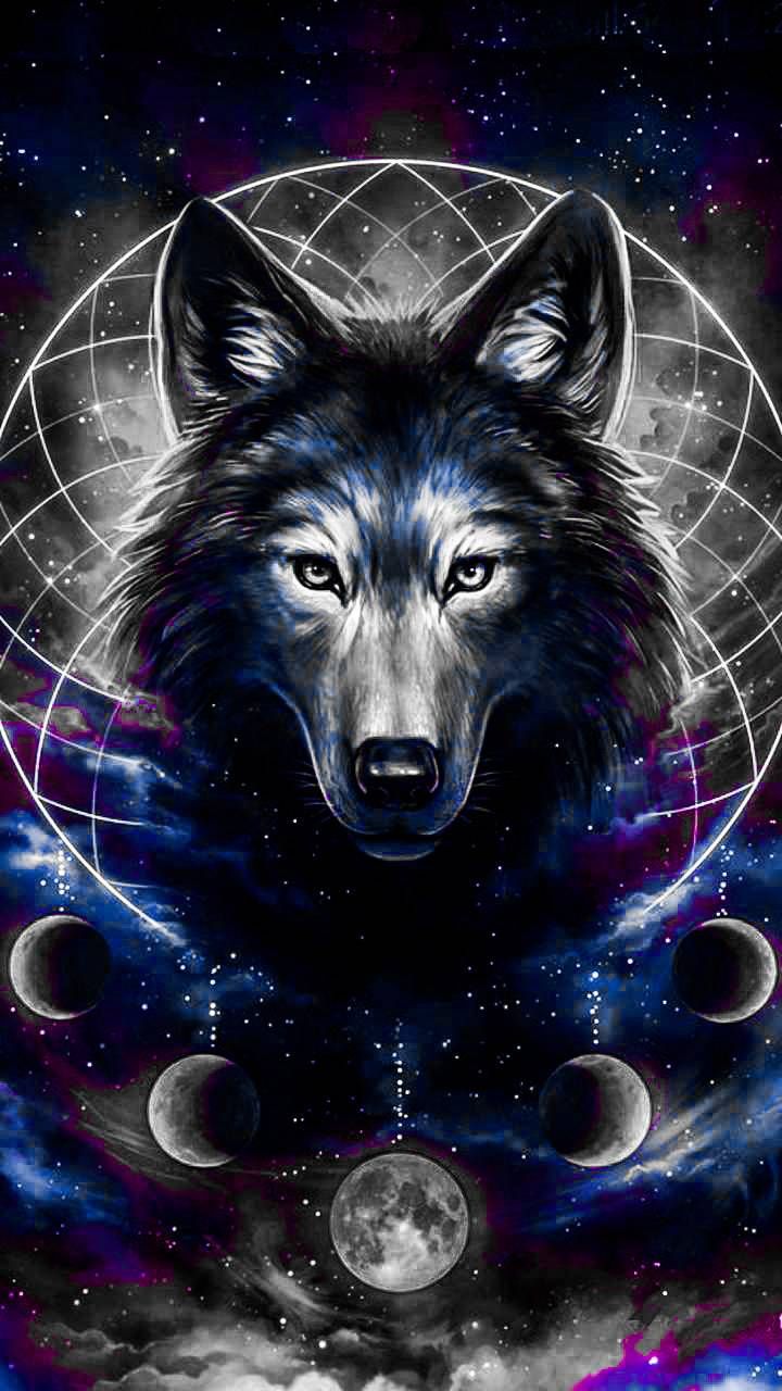 Anime Galaxy Wolf Wallpapers