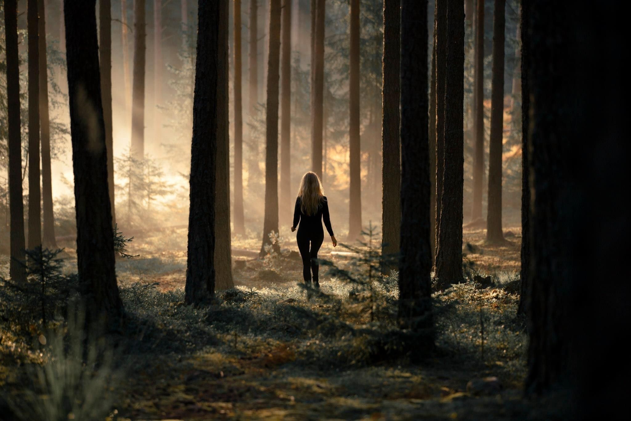 Anime Girl In Forest Wallpapers