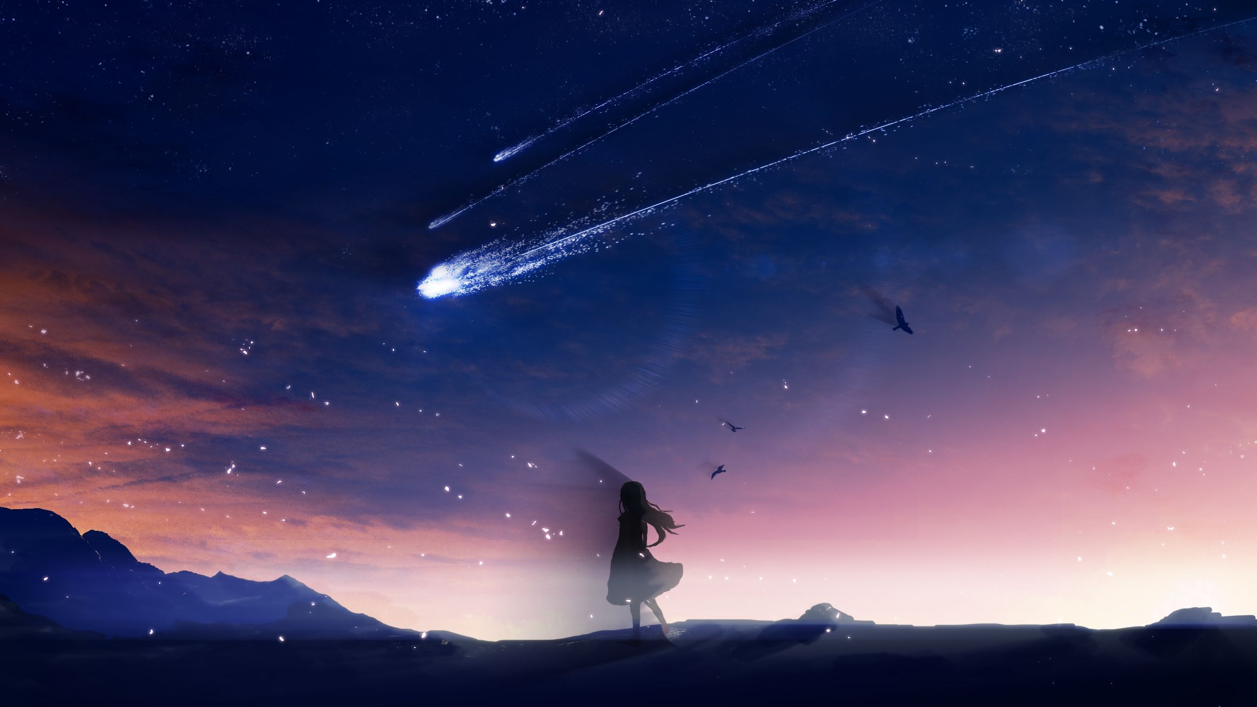 Anime Girl Looking At Sky Wallpapers