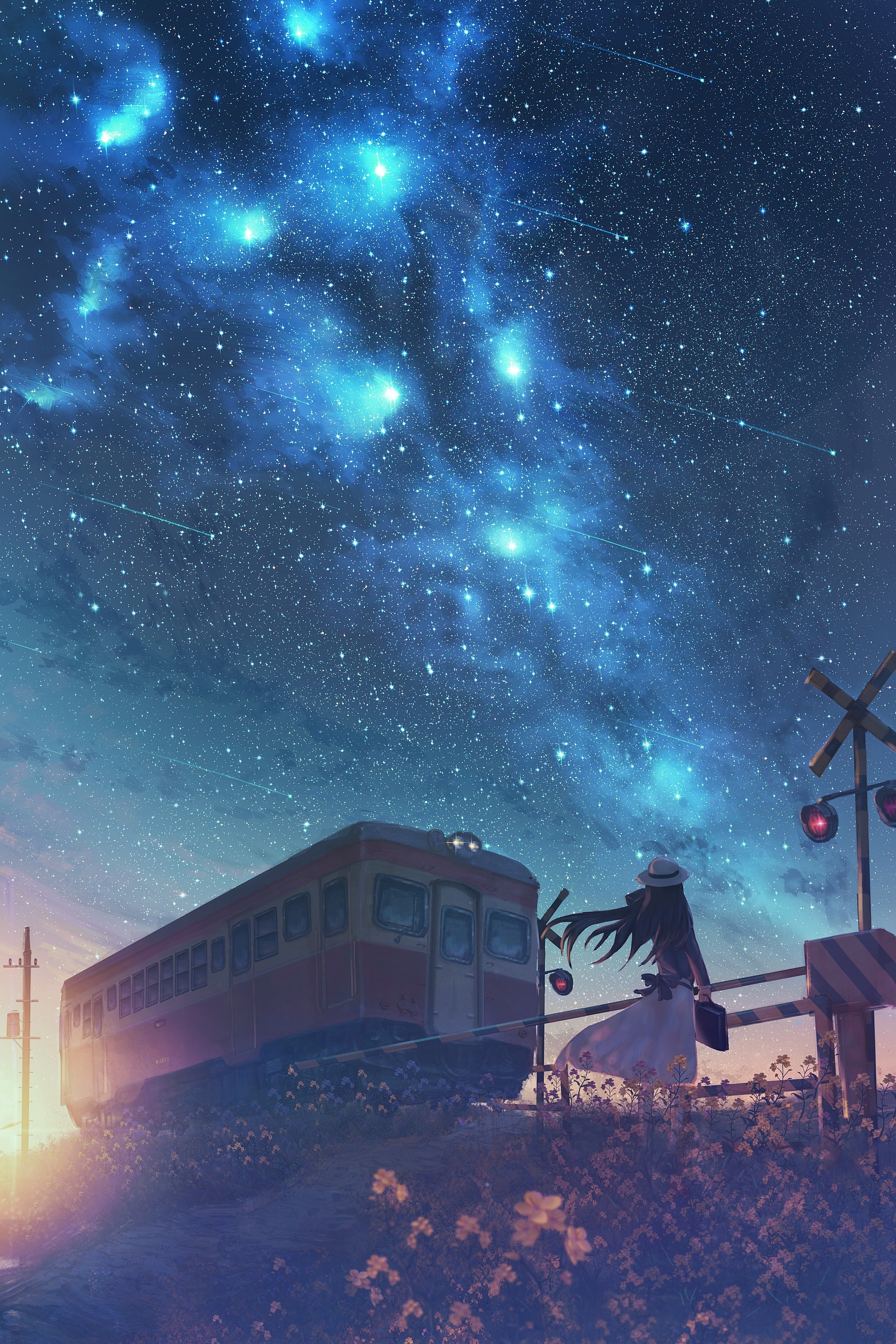 Anime Girl Night Sky Wallpapers