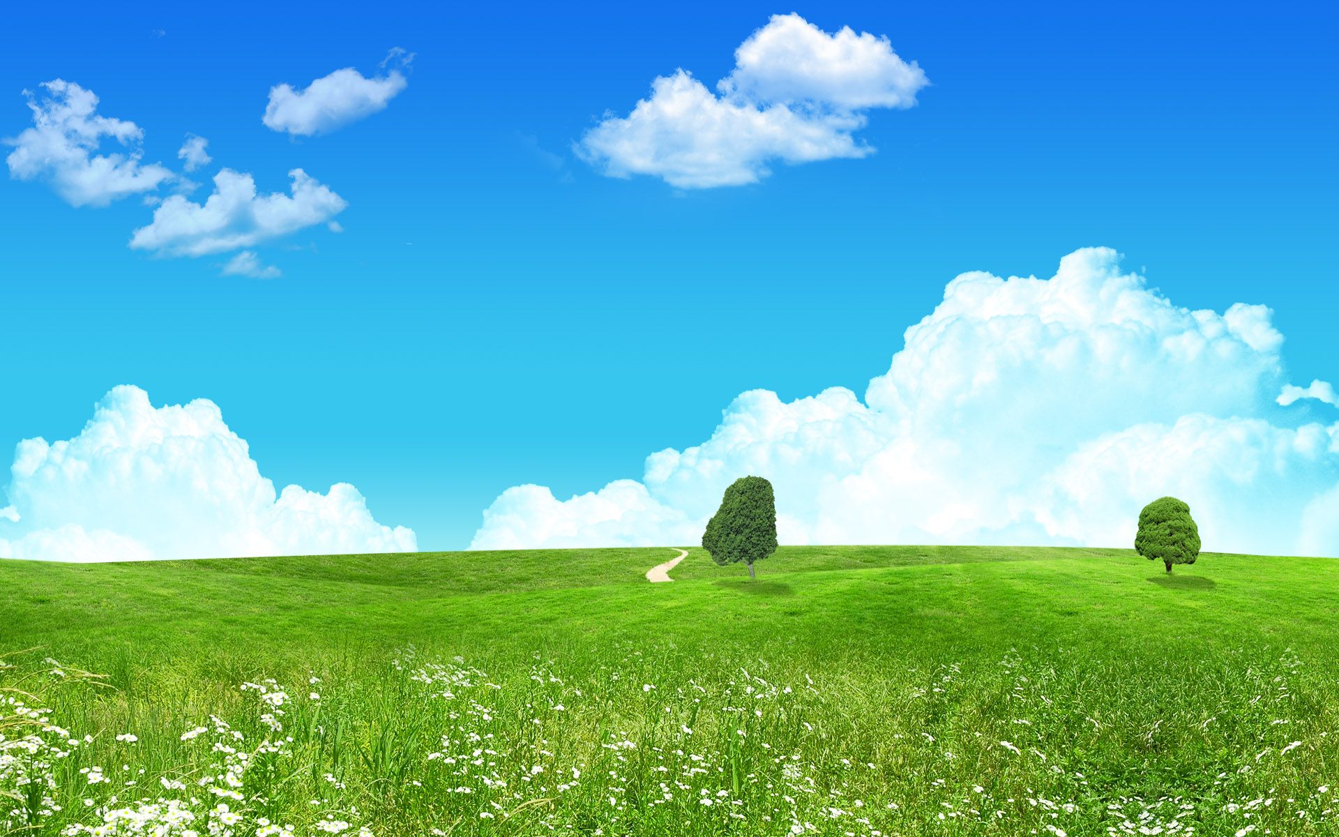 Anime Grass Field Wallpapers