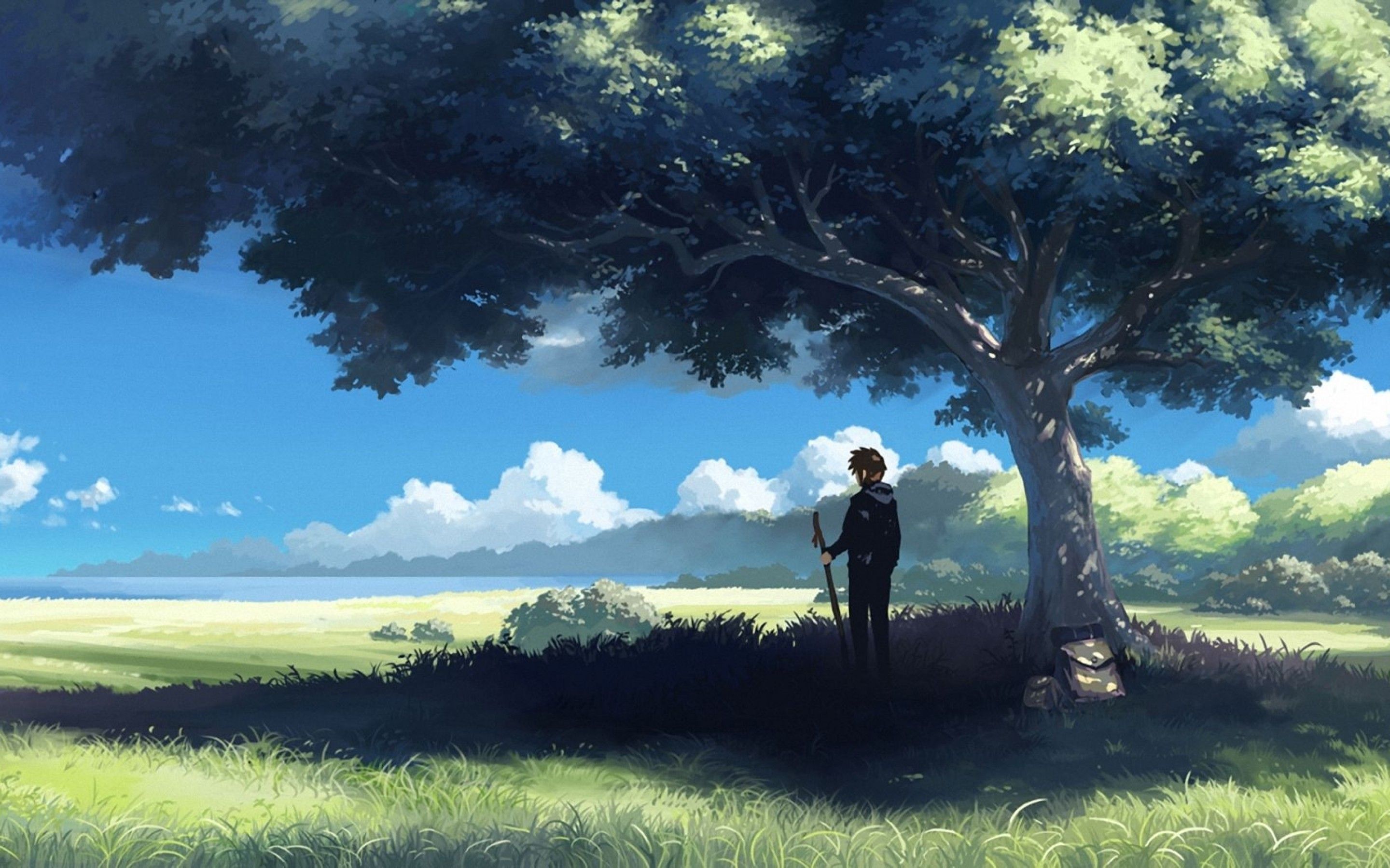 Anime Grass Field Wallpapers