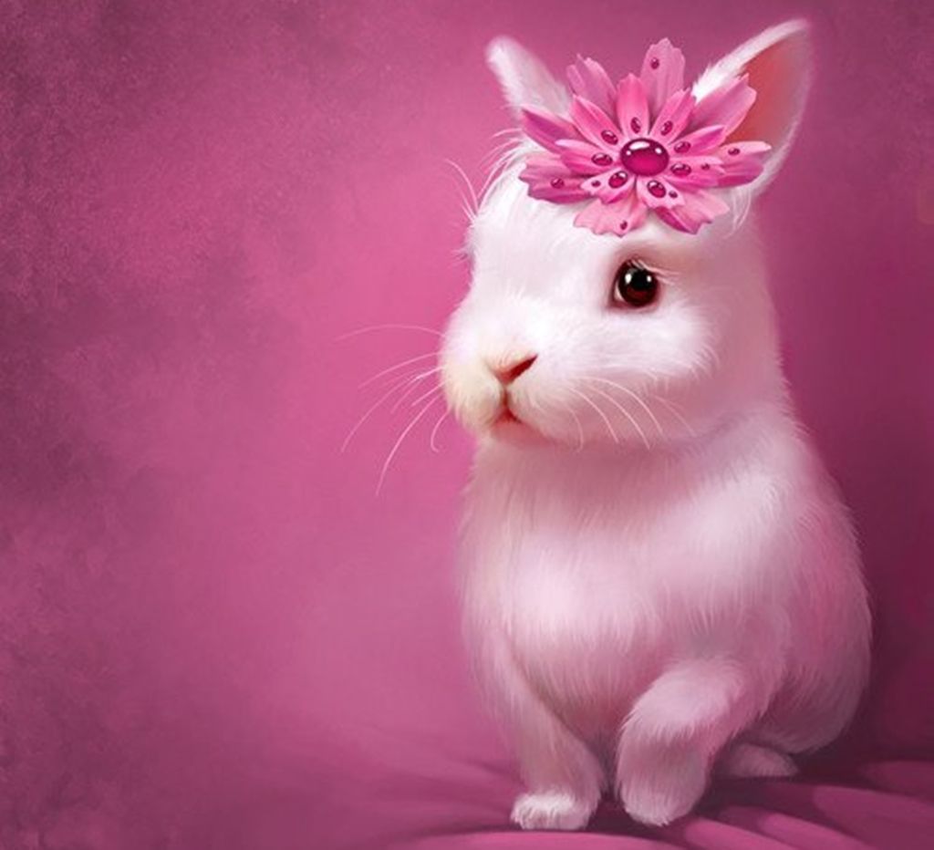 Anime Kawaii Bunny Wallpapers