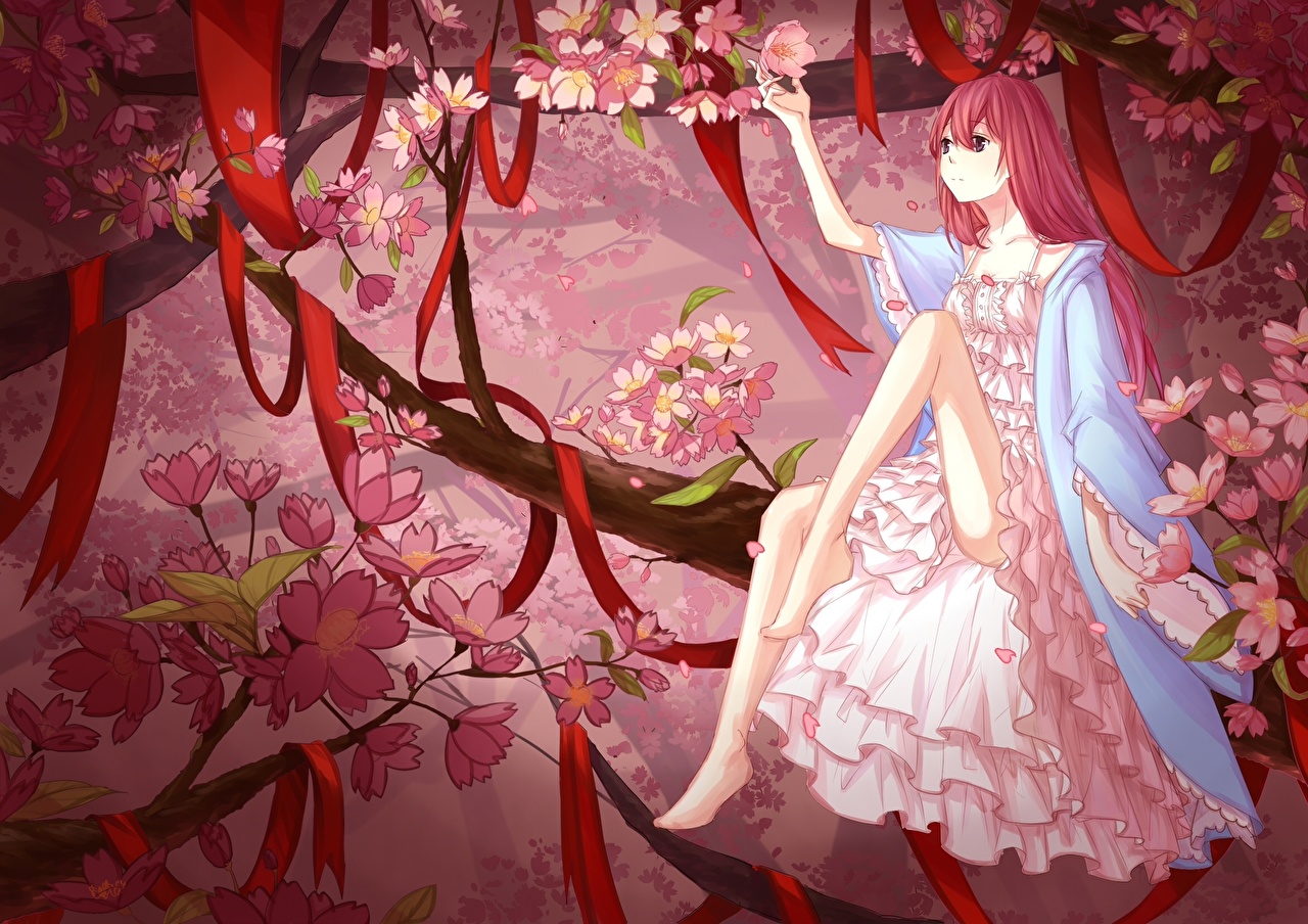 Anime Sakura Flower Wallpapers