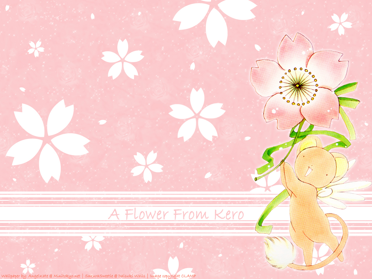 Anime Sakura Flower Wallpapers