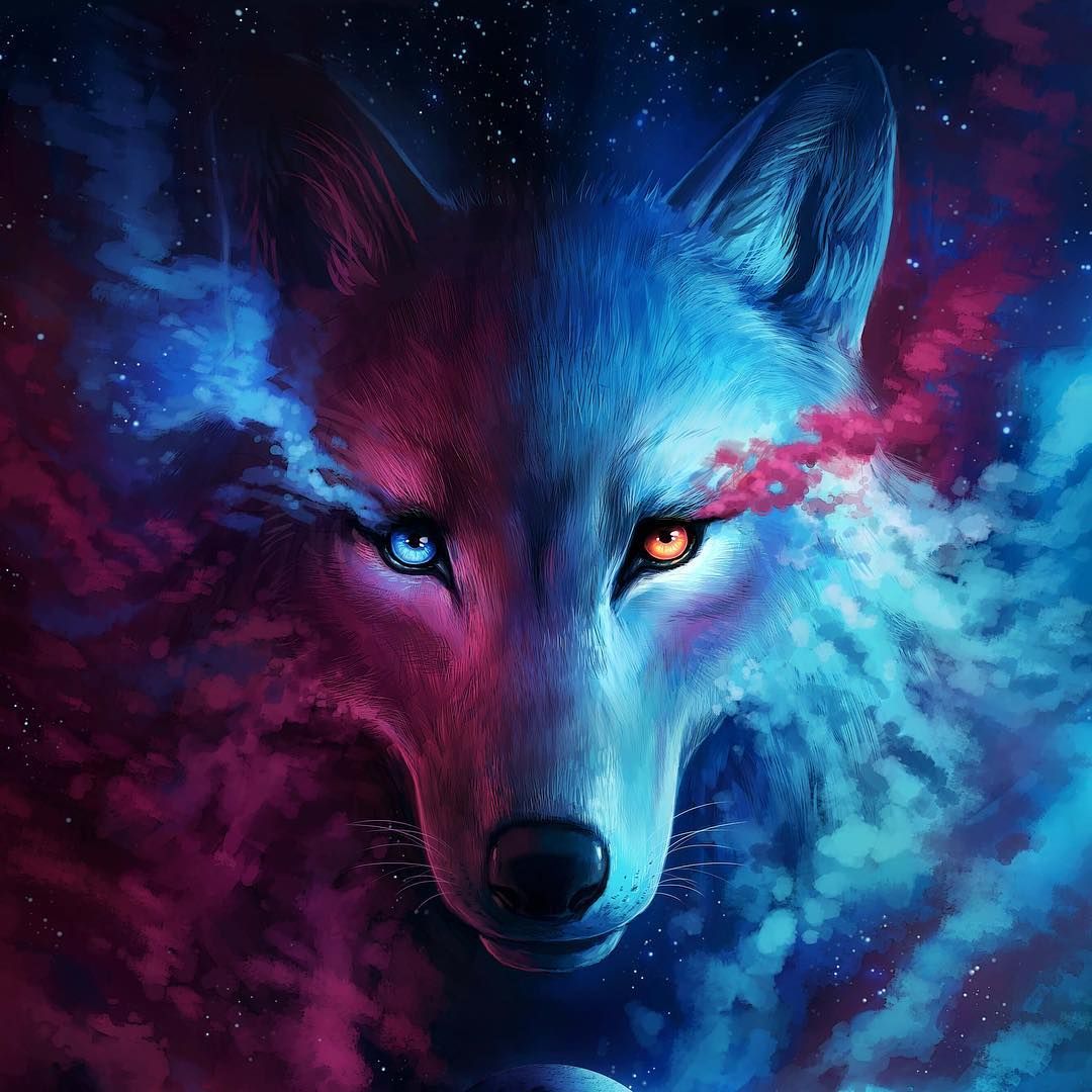 Anime Wolf Girl Galaxy Wallpapers