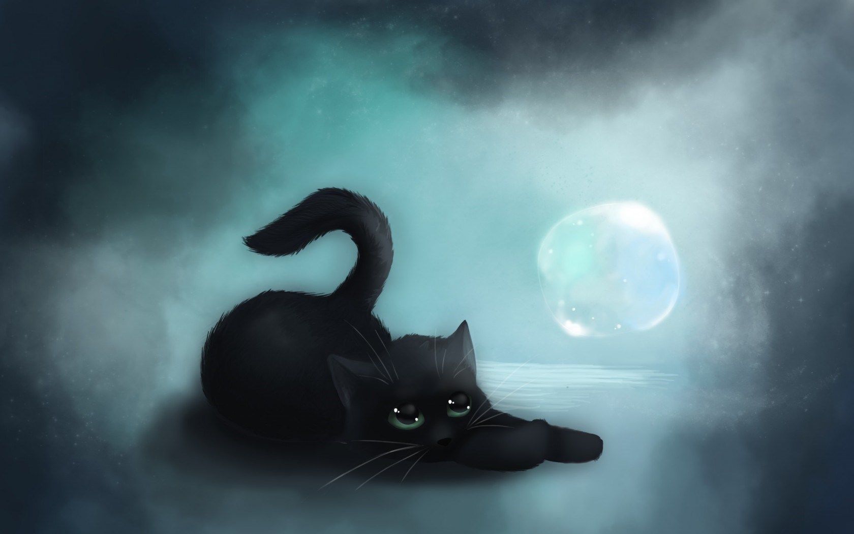 Black Cat Wallpapers