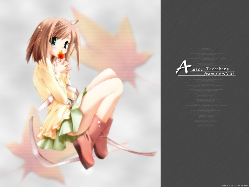 Canvas ~Sepia-Iro No Motif~ Wallpapers