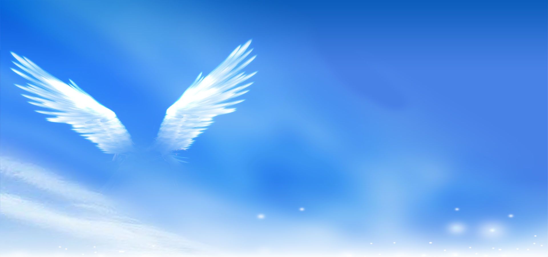 Deep Blue Sky & Pure White Wings Wallpapers