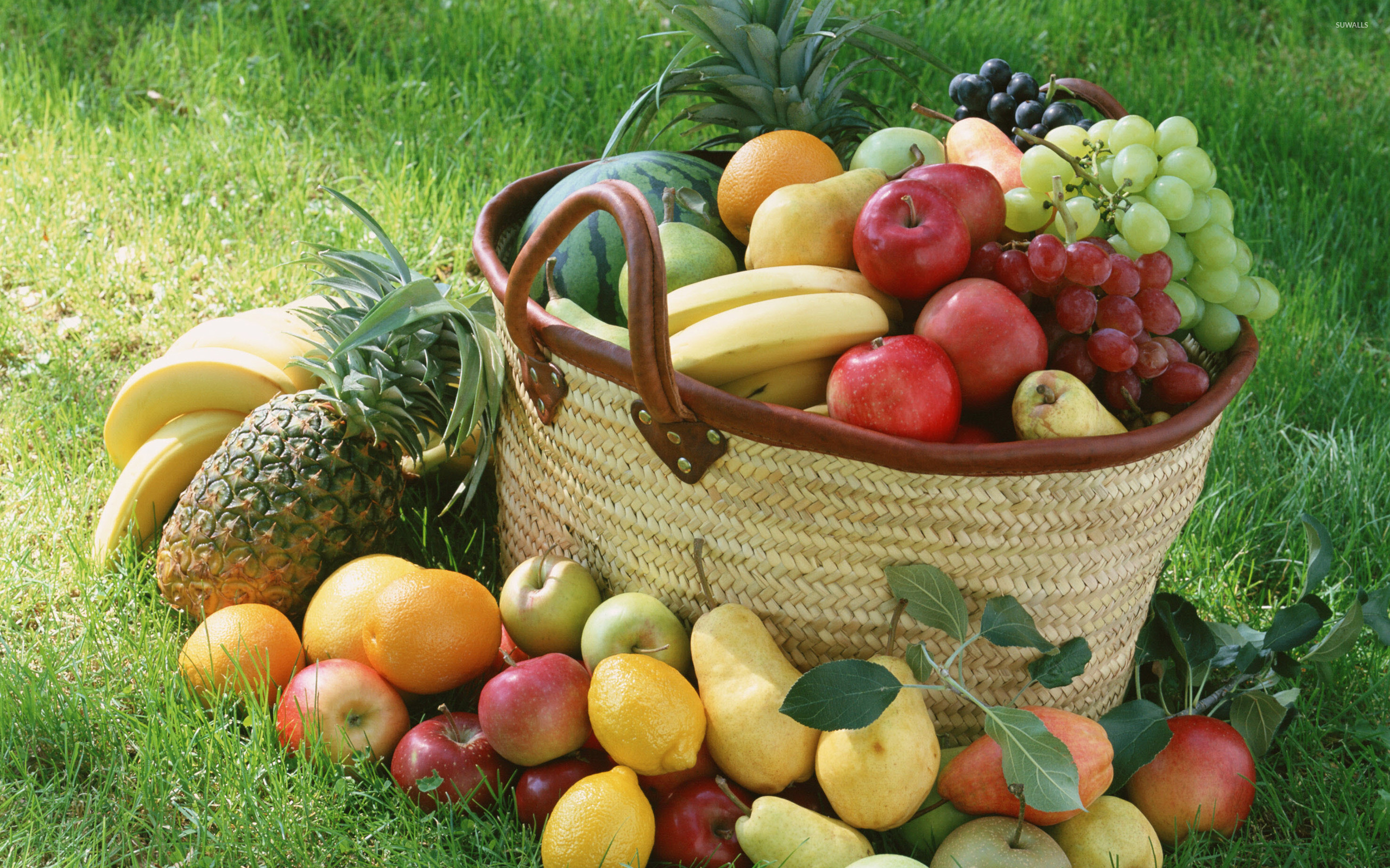 Fruits Basket Wallpapers
