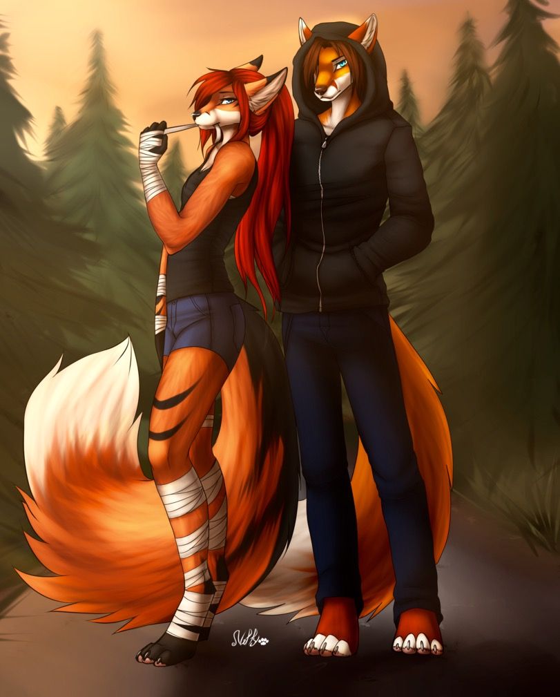 Furry Couple Anime Art Wallpapers