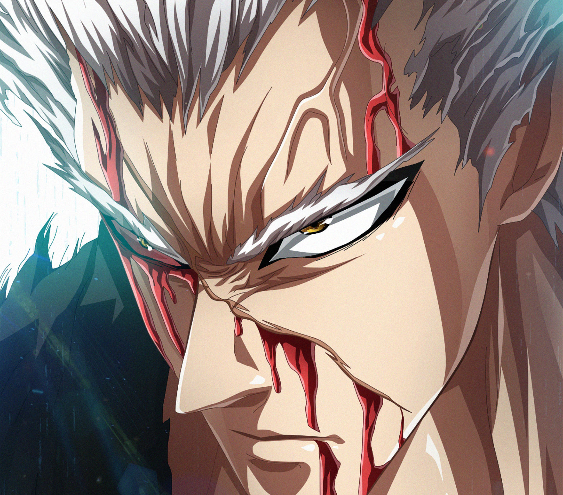 Garou One-Punch Man Wallpapers