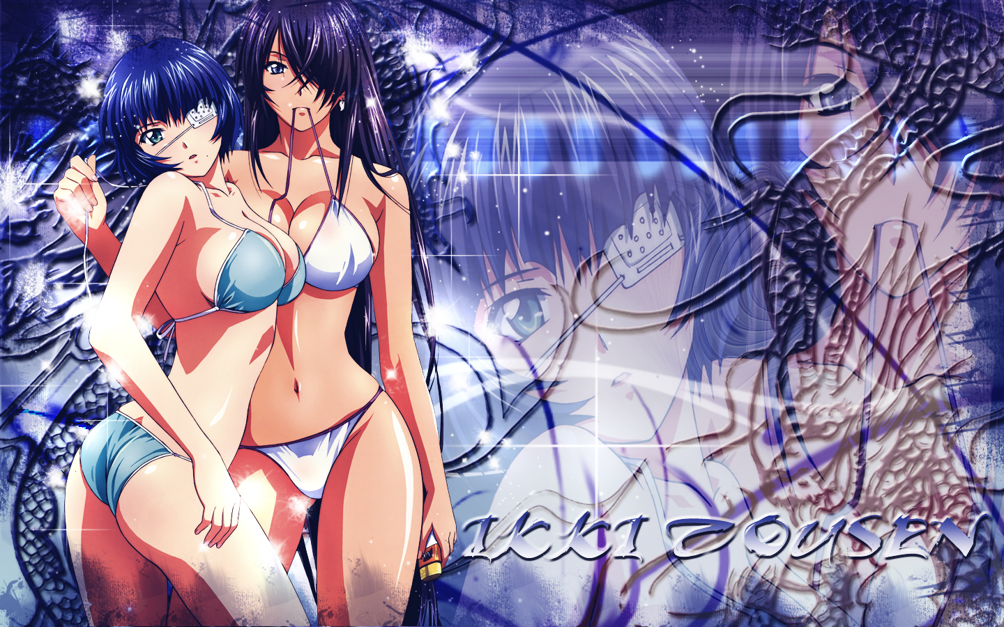 Ikki Tousen Wallpapers