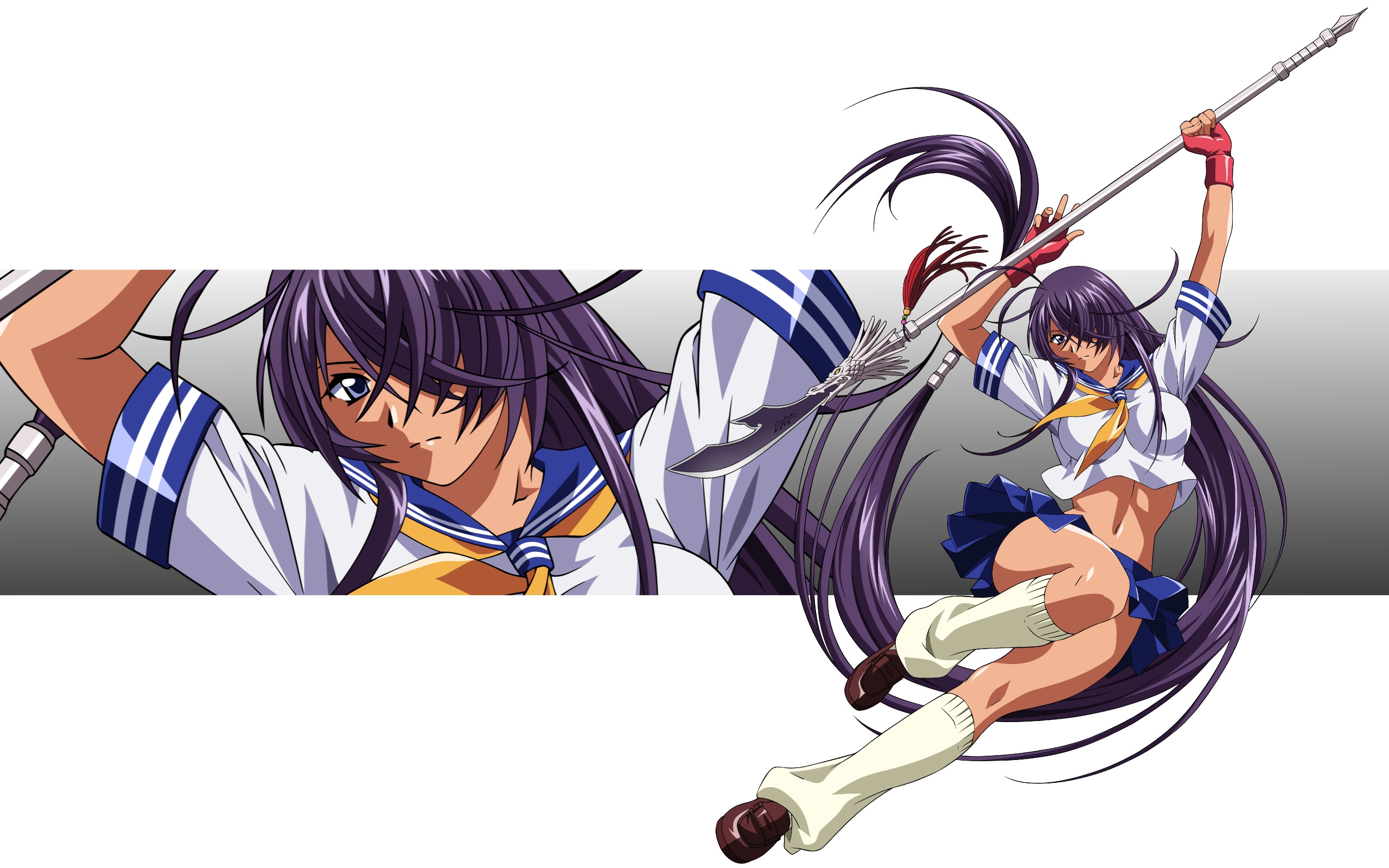 Ikki Tousen Wallpapers