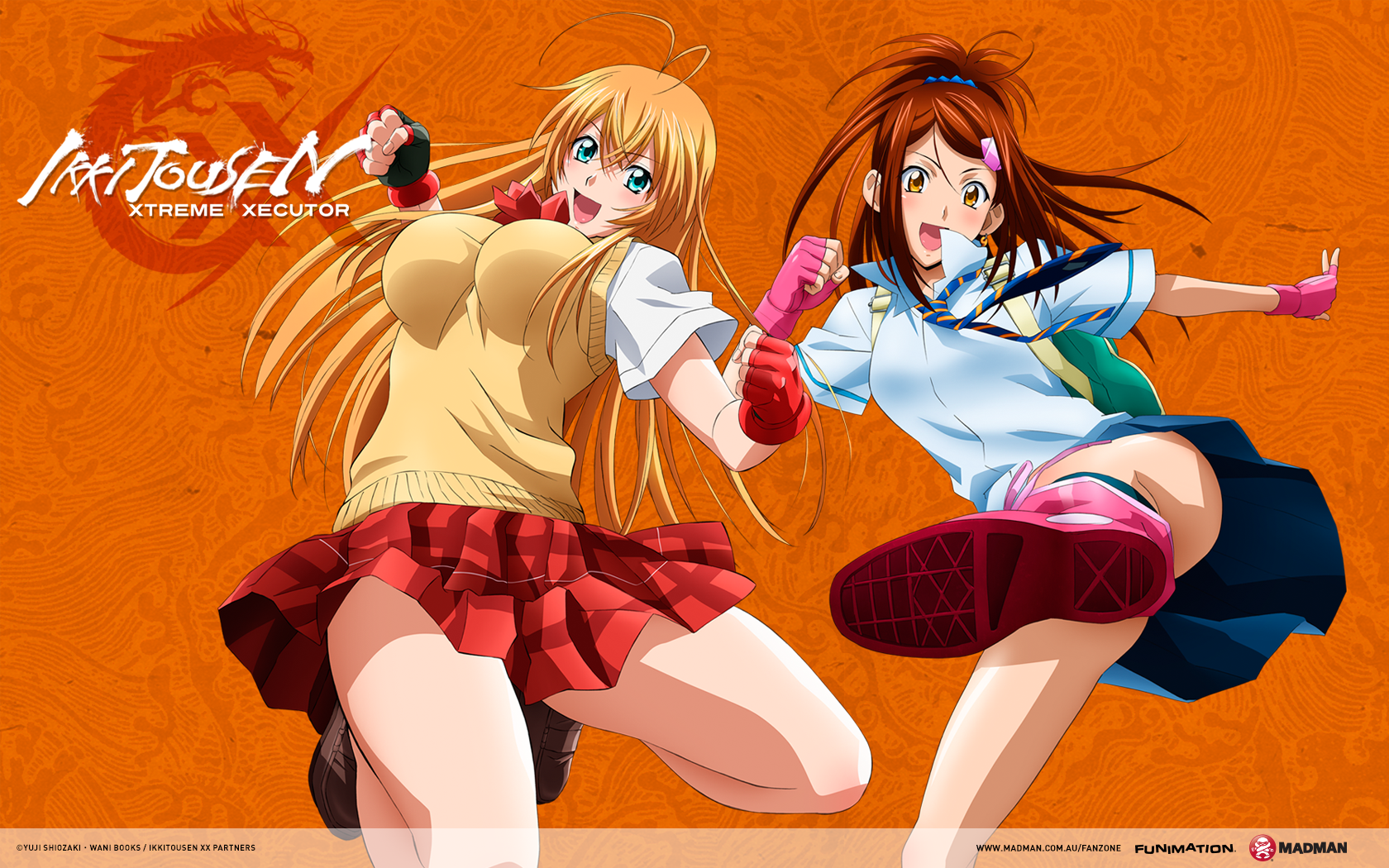 Ikki Tousen Wallpapers