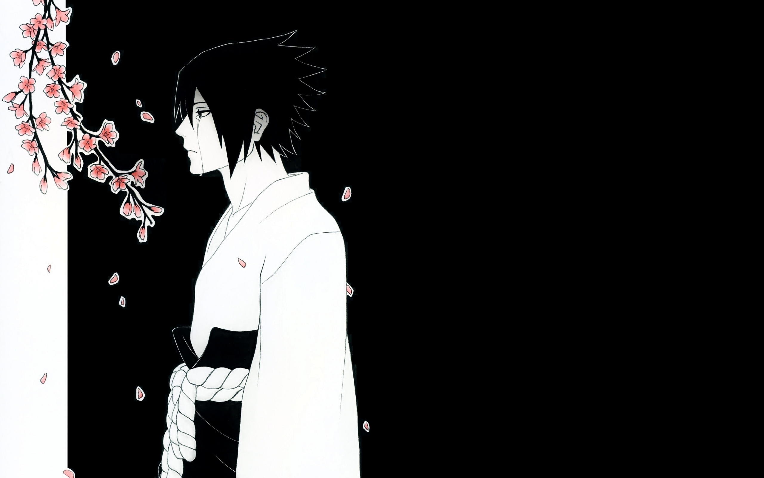 Naruto Sasuke Sakura Shippuden Wallpapers