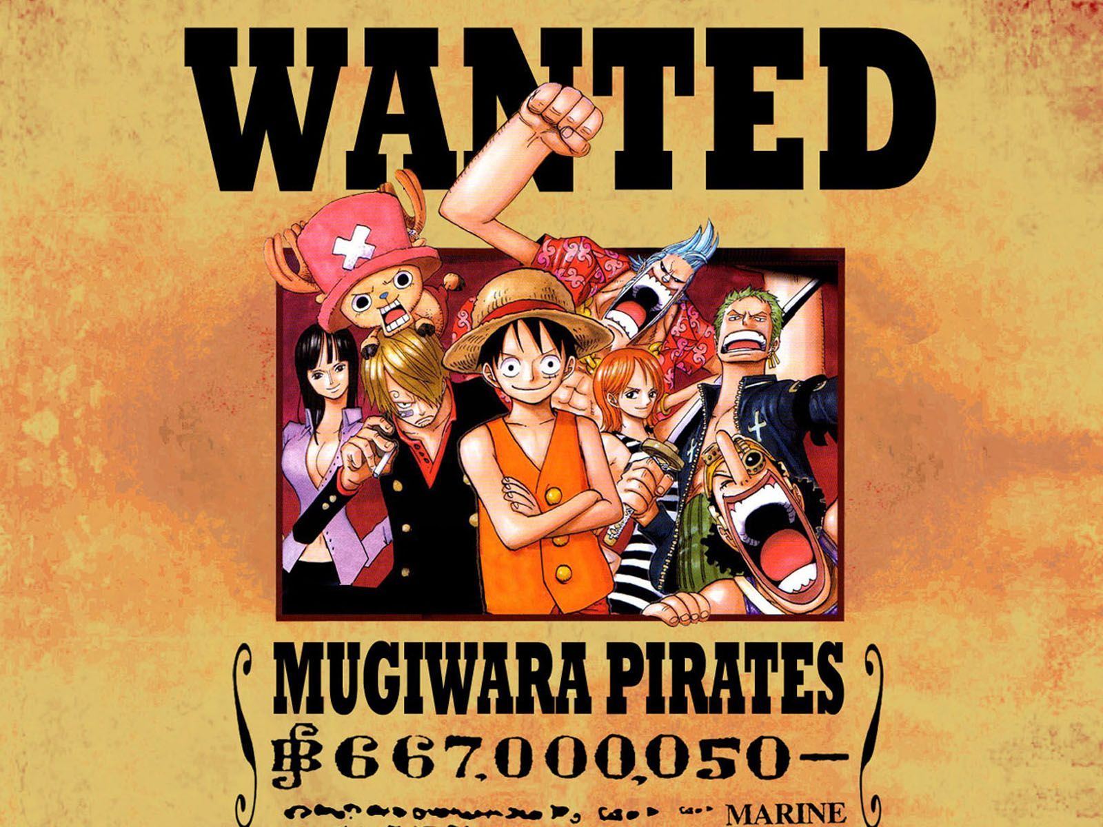 One Piece Wanted Poster Wallpapers