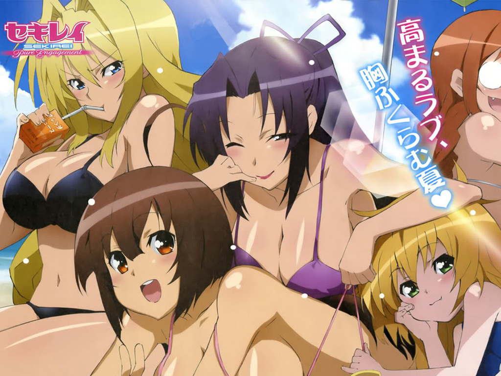 Sekirei Wallpapers