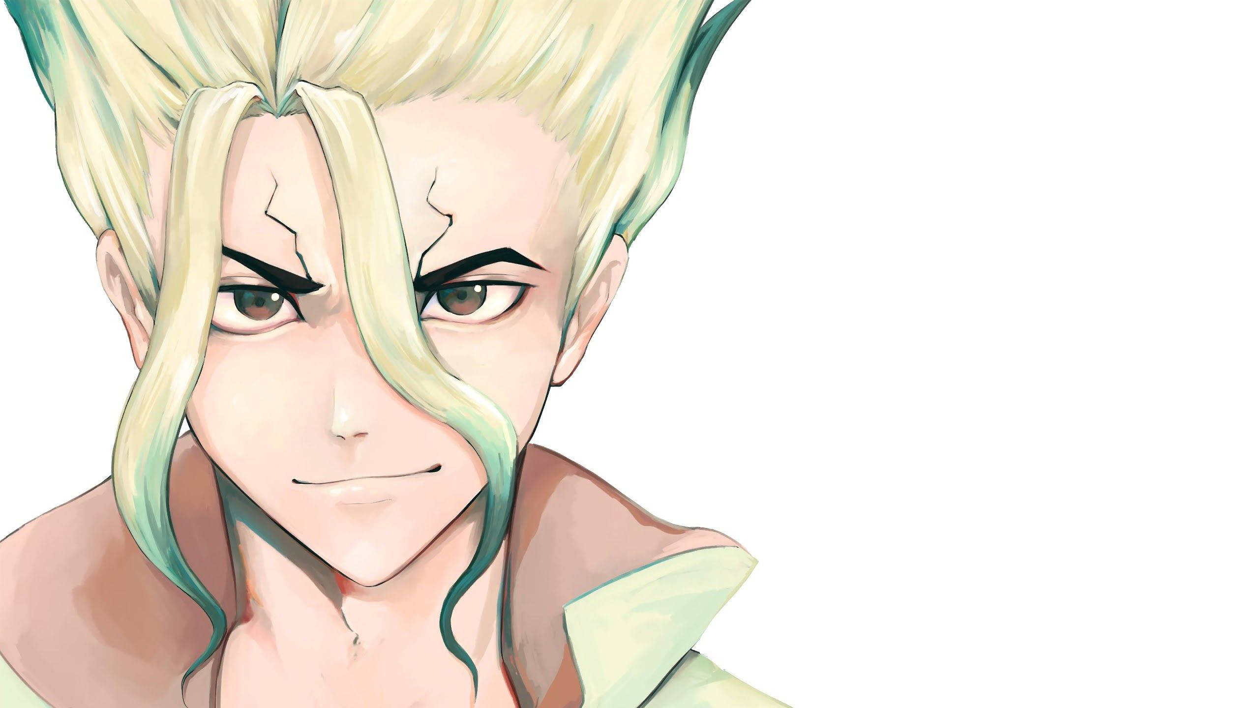 Senku Ishigami Dr. Stone Wallpapers