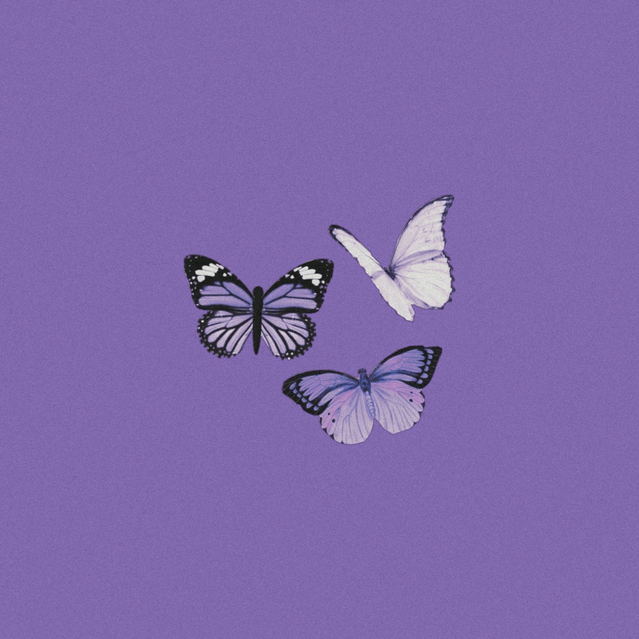 Shinobu Kocho Butterfly Wallpapers