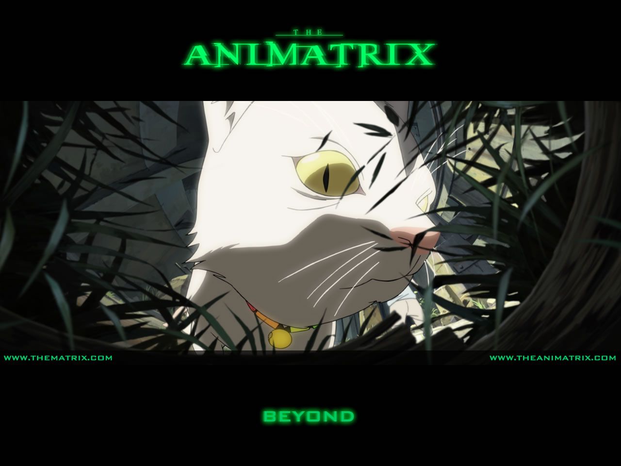 The Animatrix Wallpapers