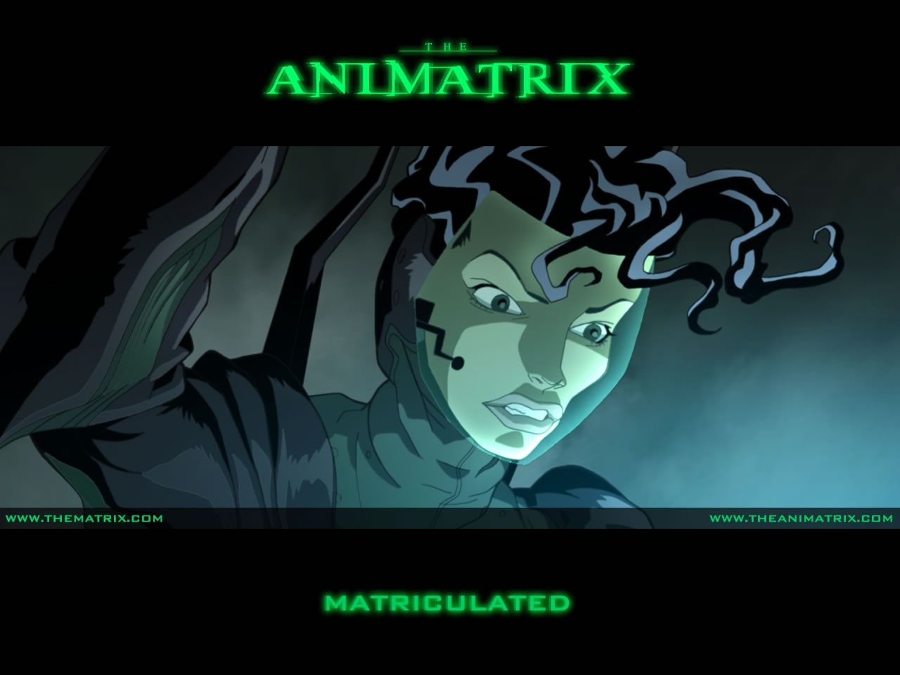 The Animatrix Wallpapers