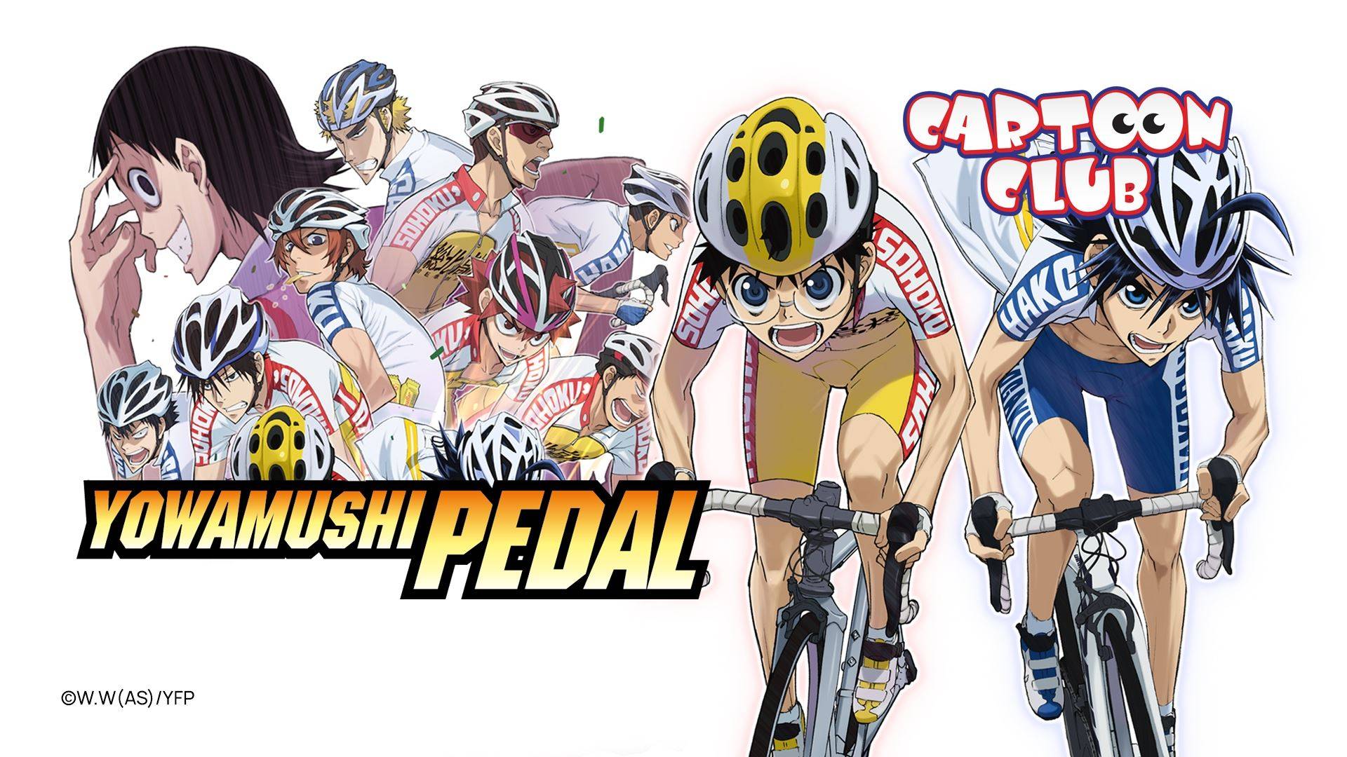 Yowamushi Pedal Wallpapers