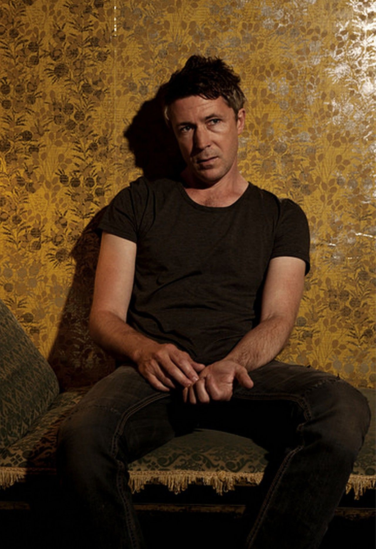 Aidan Gillen Wallpapers