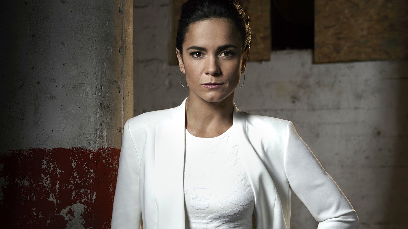 Alice Braga Wallpapers