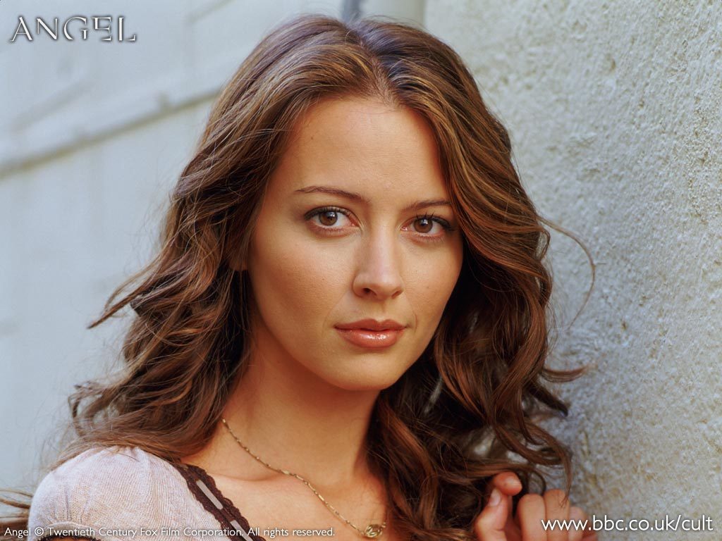 Amy Acker Wallpapers