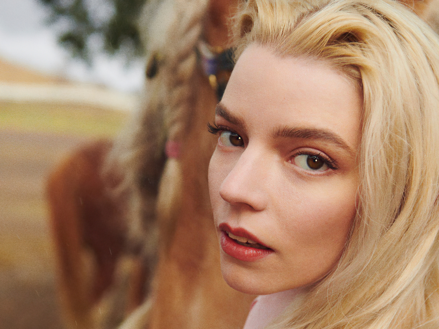 Anya Taylor-Joy Actress Photoshoot 2021 Wallpapers