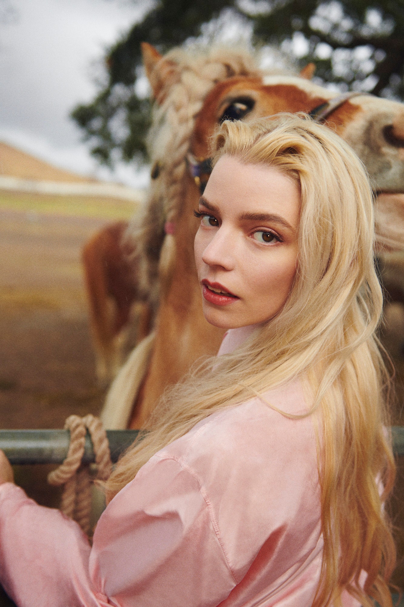 Anya Taylor-Joy Actress Photoshoot 2021 Wallpapers