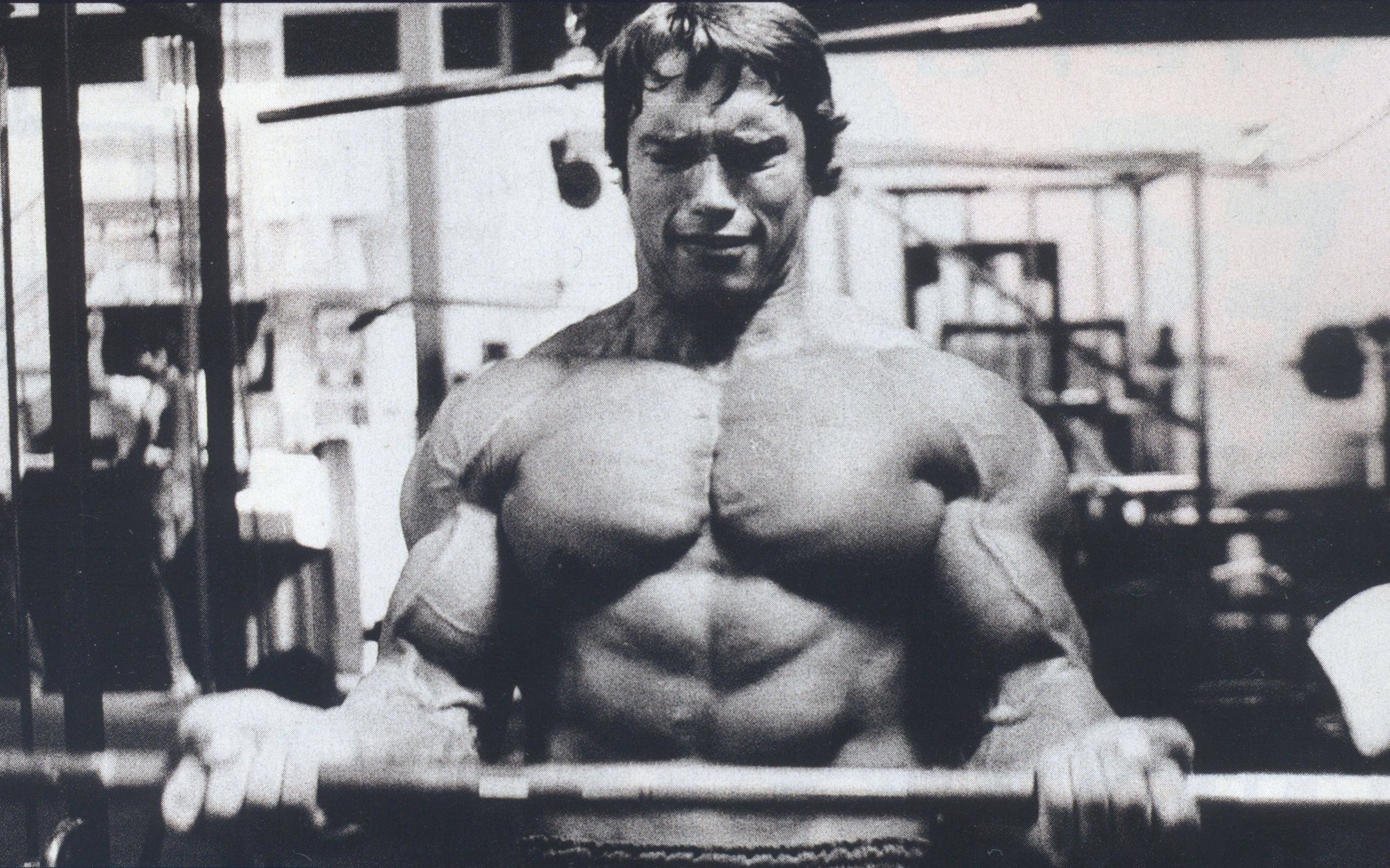 Arnold Schwarzenegger Wallpapers