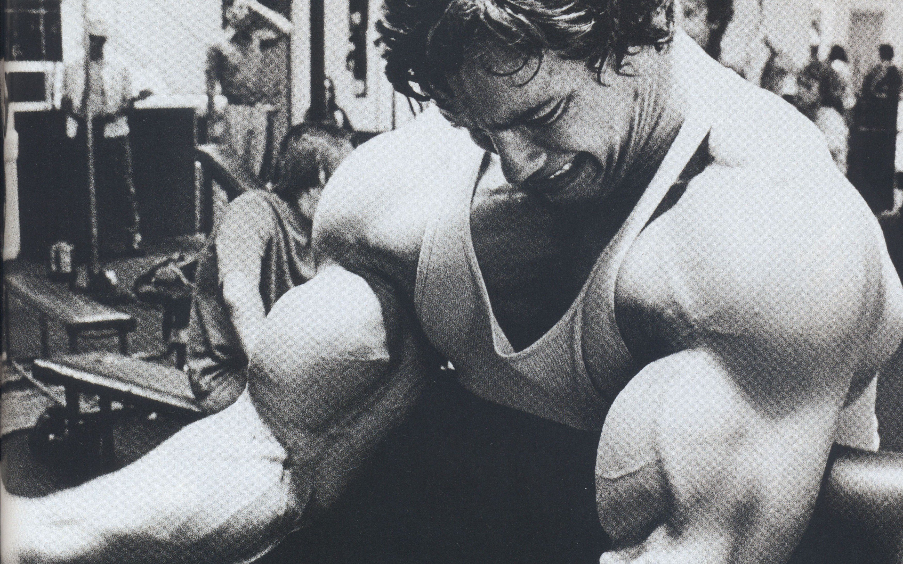 Arnold Schwarzenegger Wallpapers