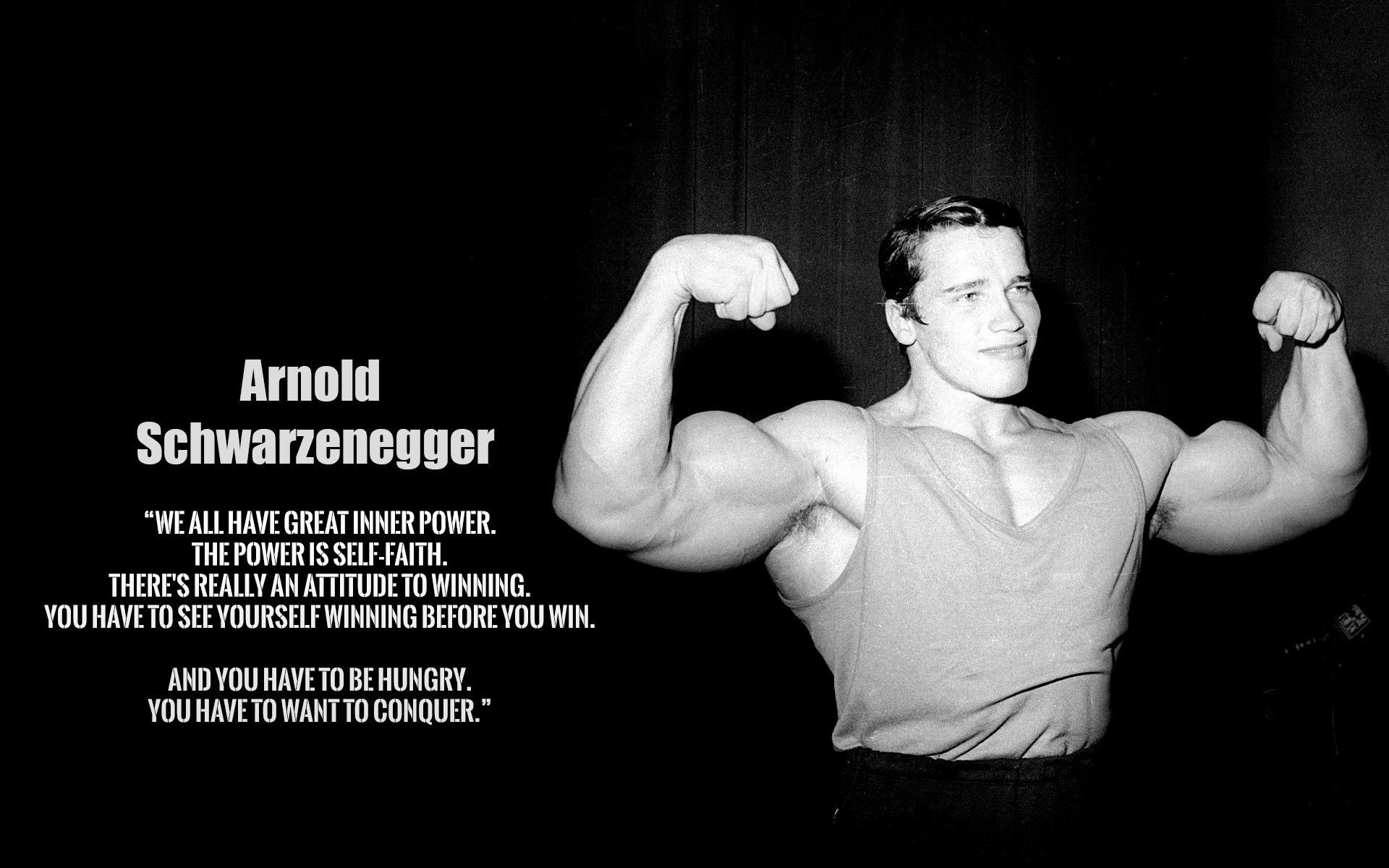 Arnold Schwarzenegger Wallpapers