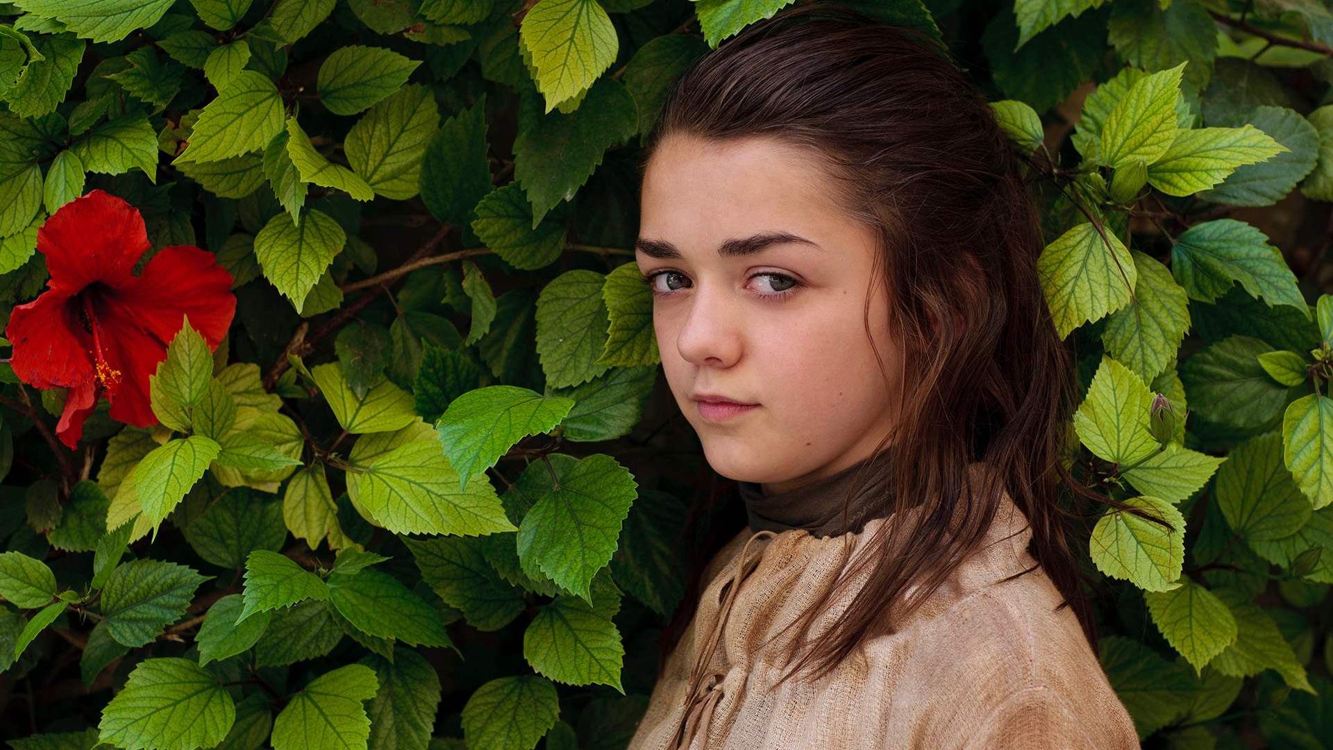 British Actress Maisie Williams Wallpapers