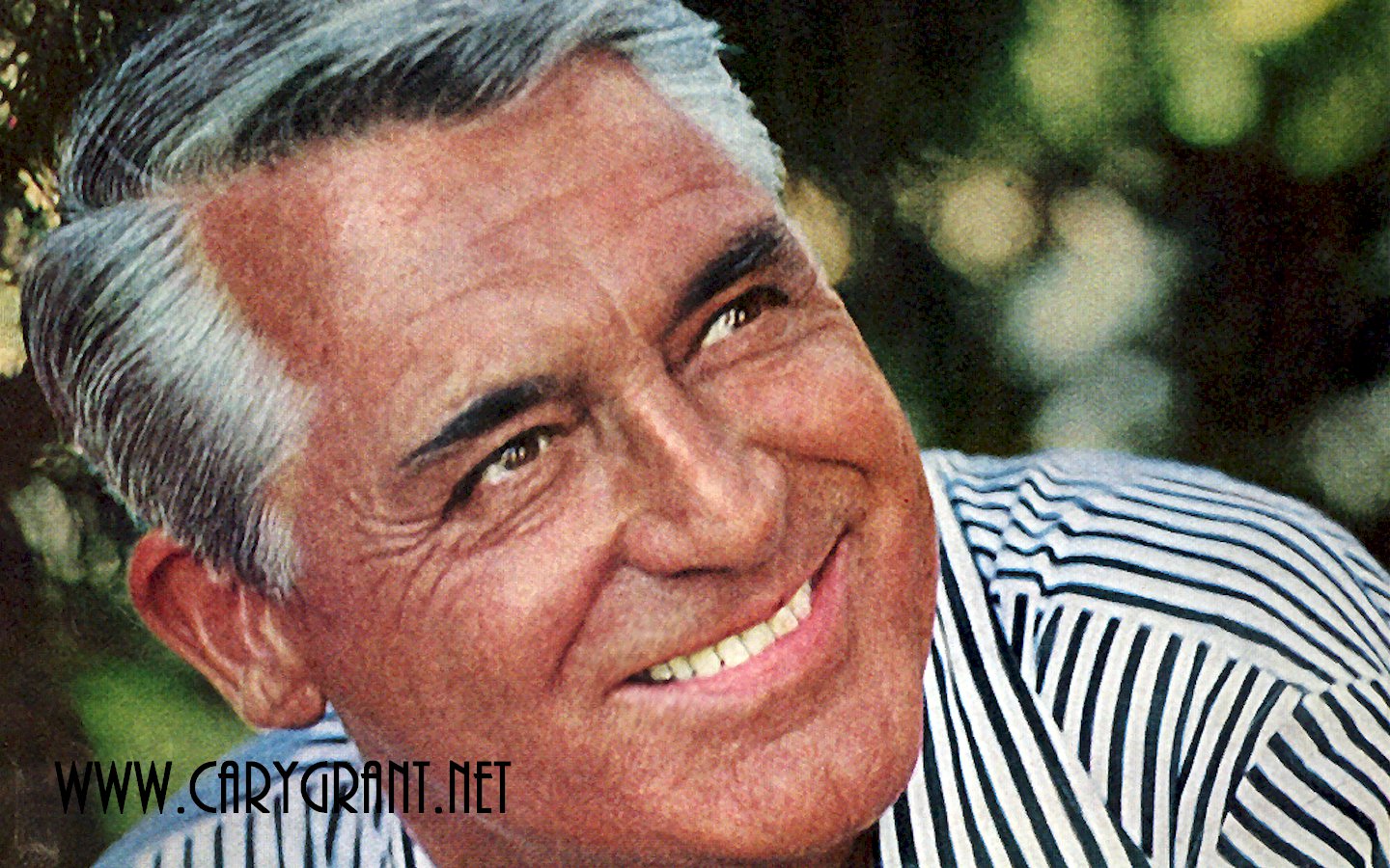 Cary Grant Wallpapers