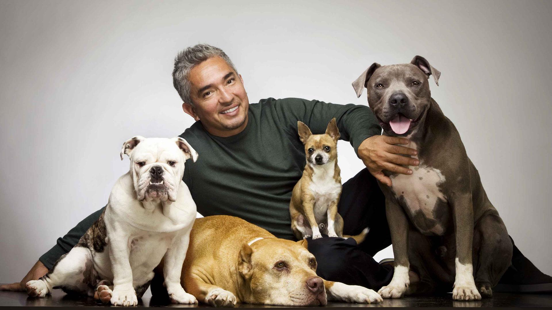 Cesar Millan Wallpapers