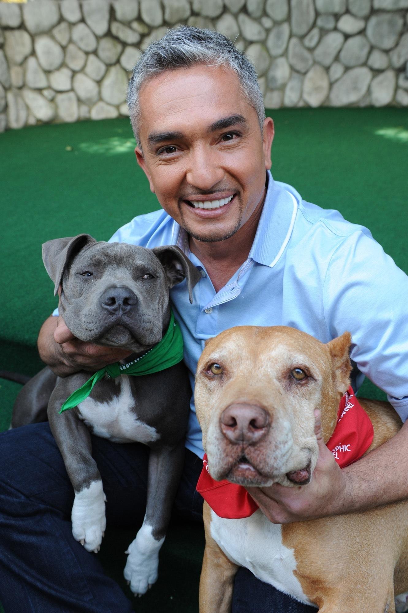 Cesar Millan Wallpapers