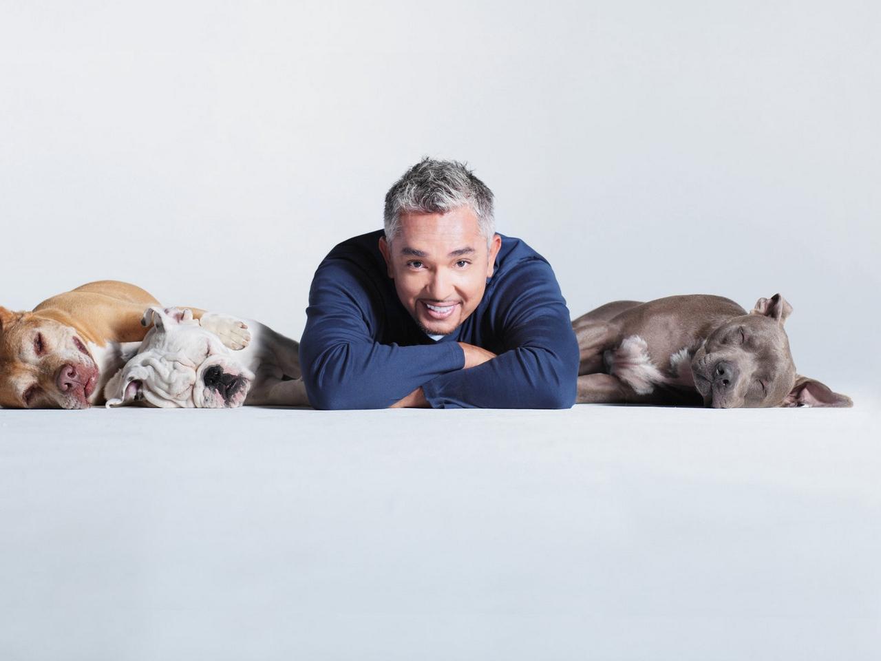 Cesar Millan Wallpapers